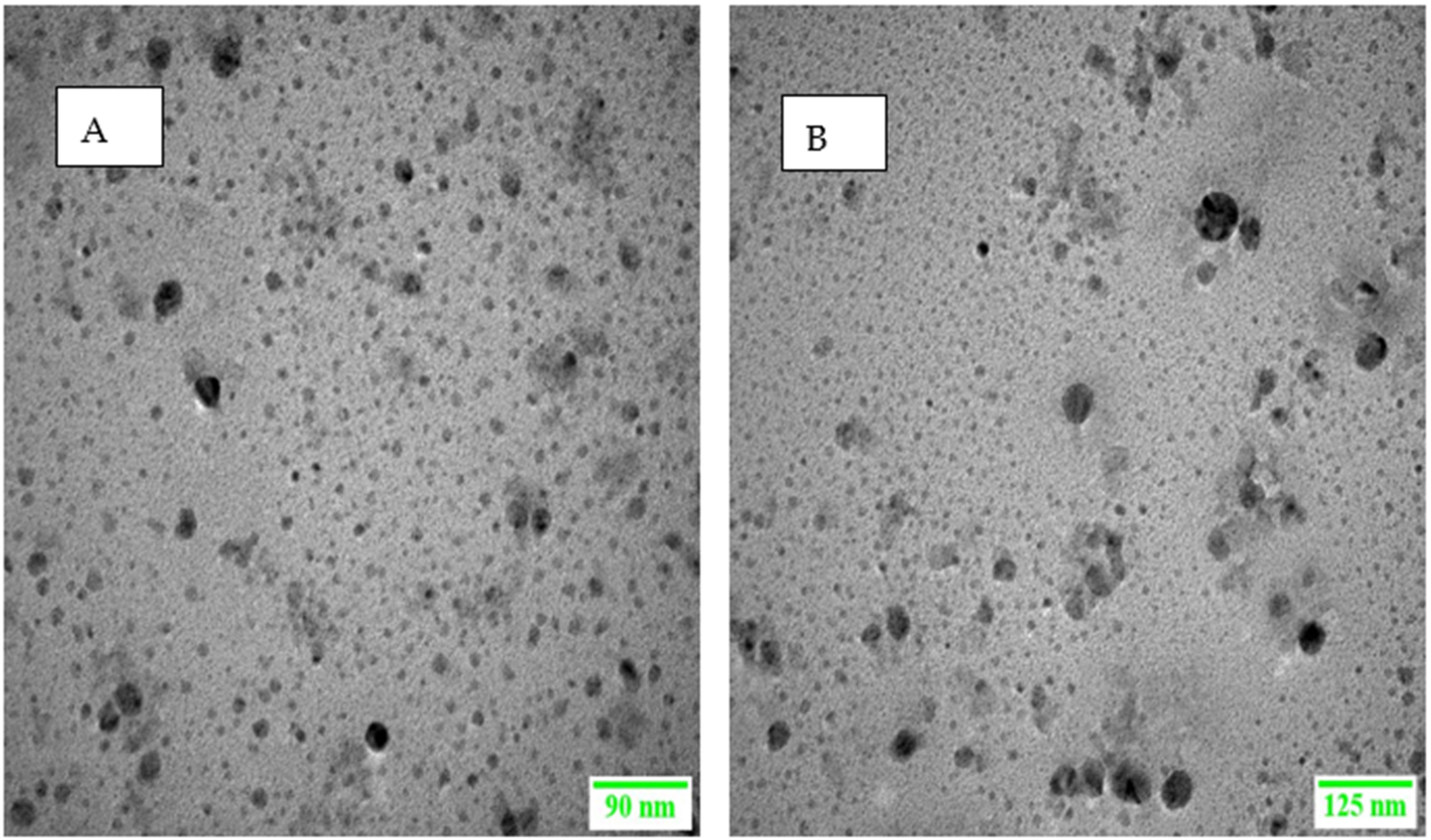 Polymers 14 01922 g002 Polymers 14 01922 g002