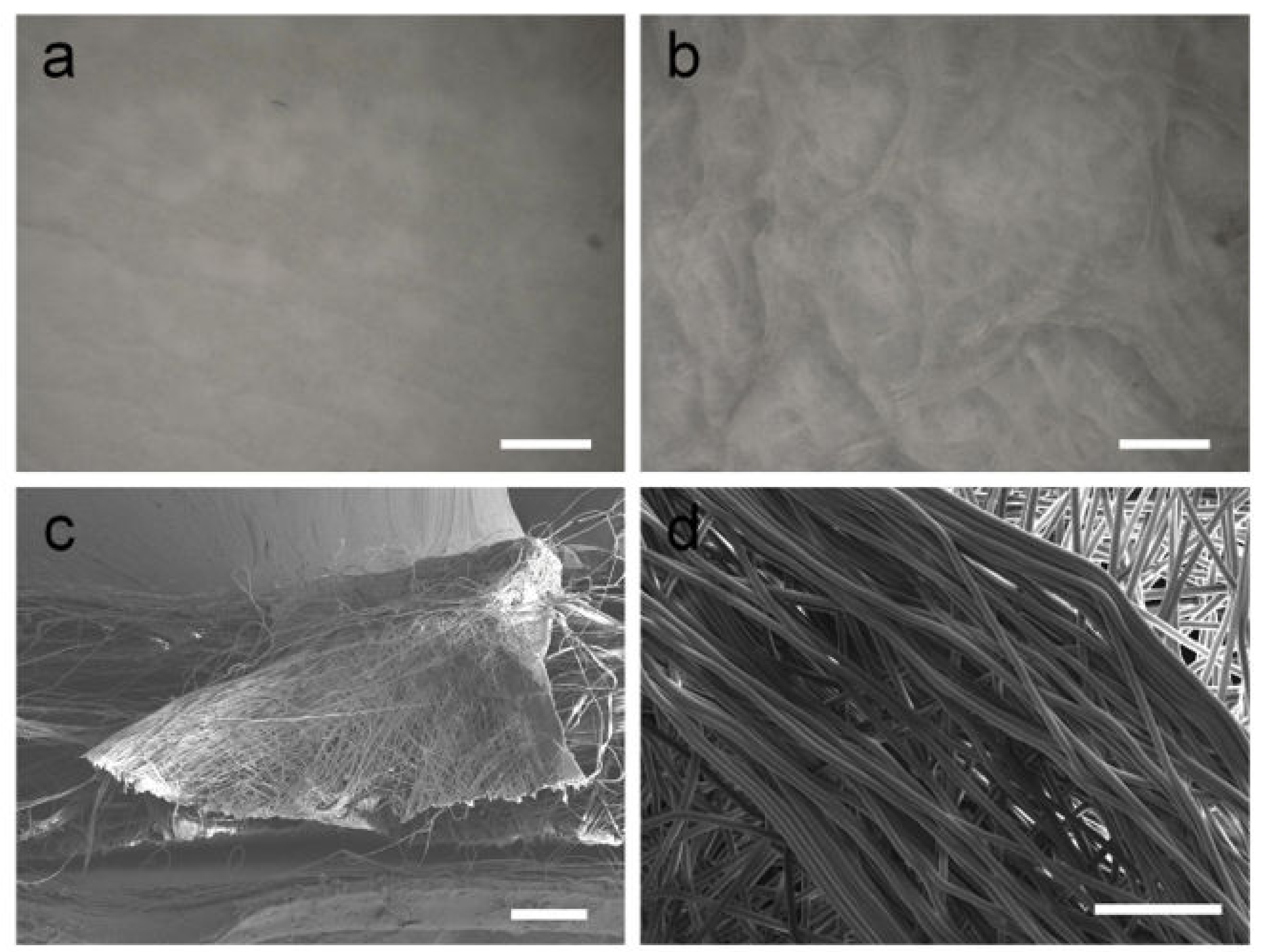 Polymers 14 01924 g001 550