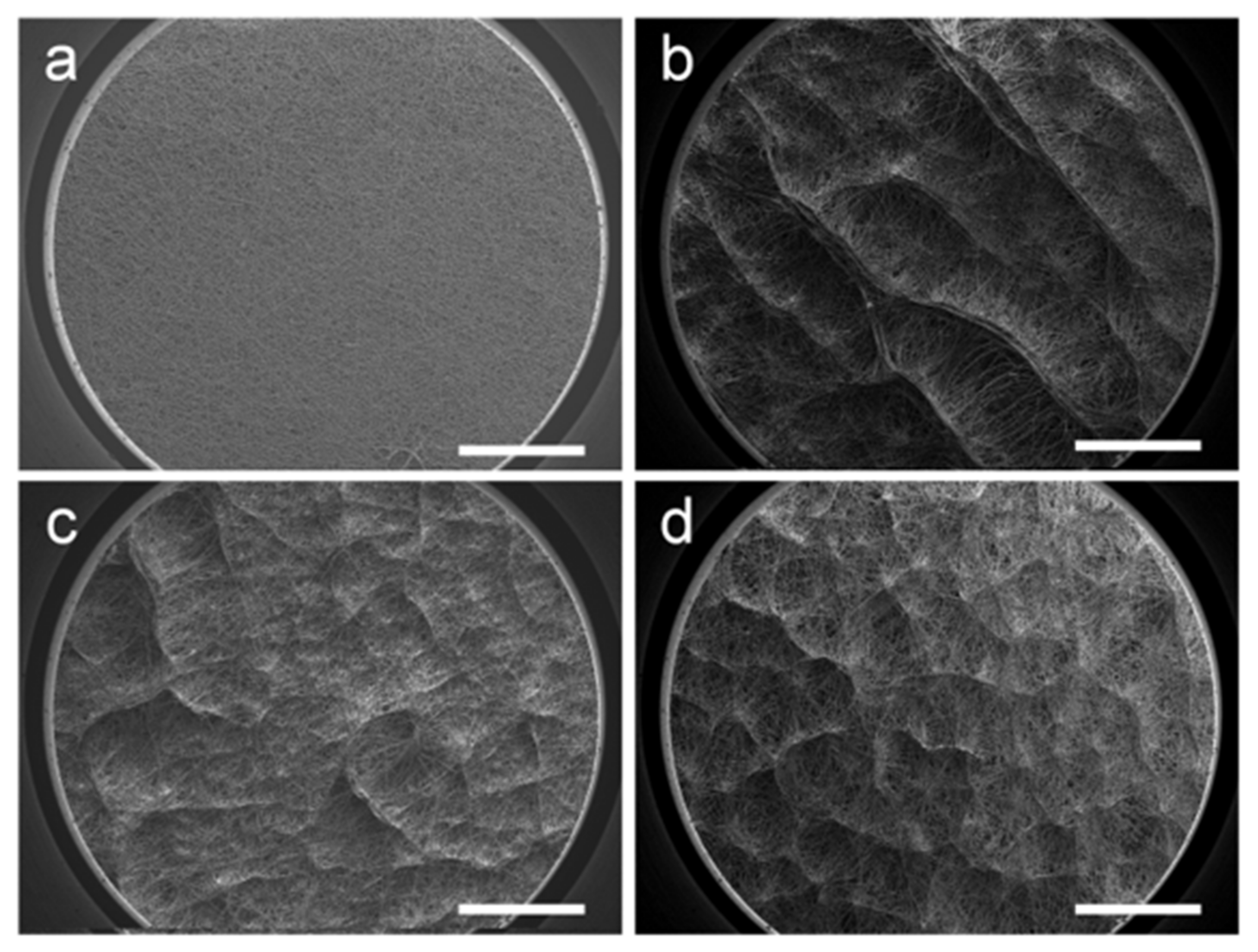 Polymers 14 01924 g003 550