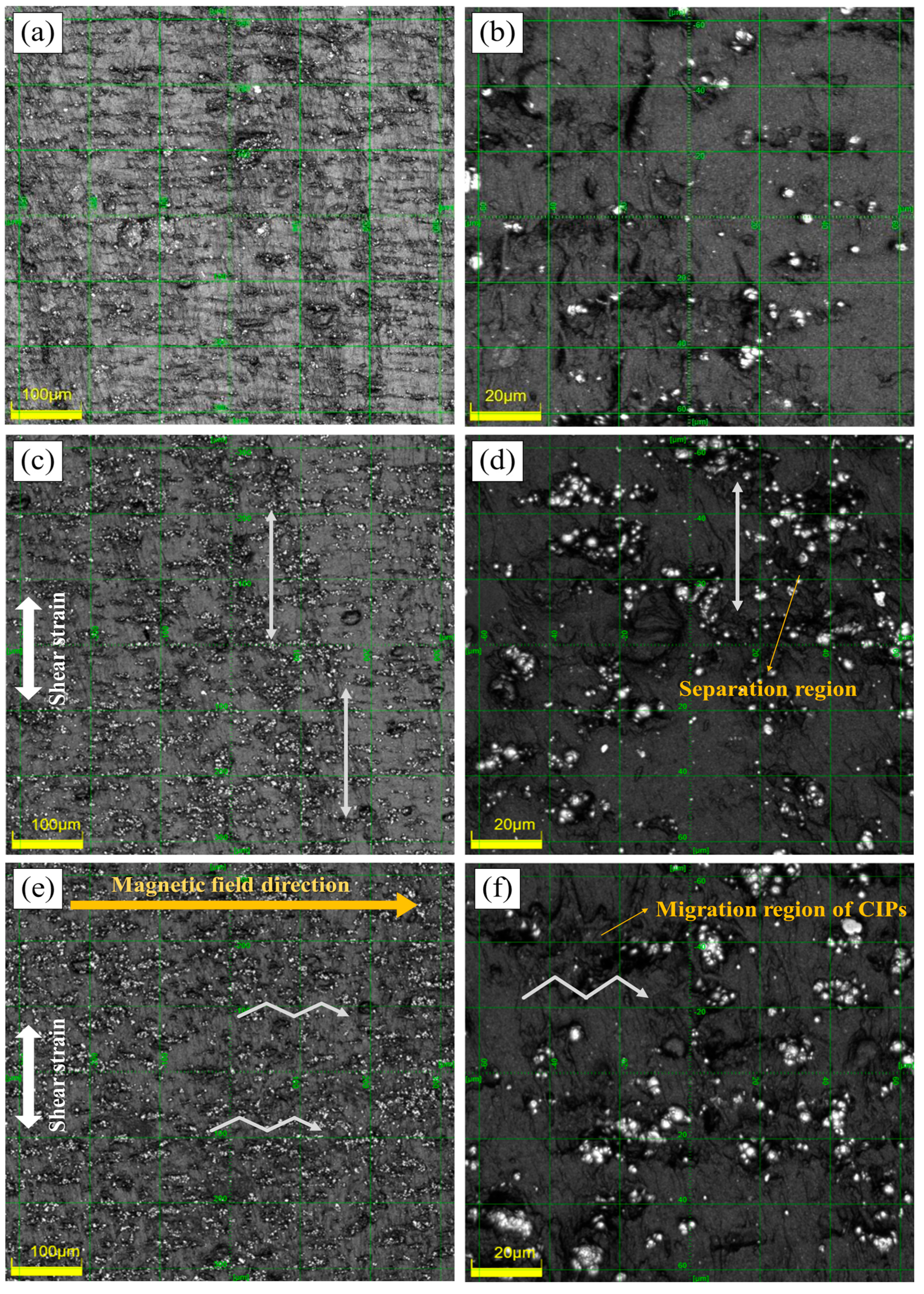 Polymers 14 01927 g002
