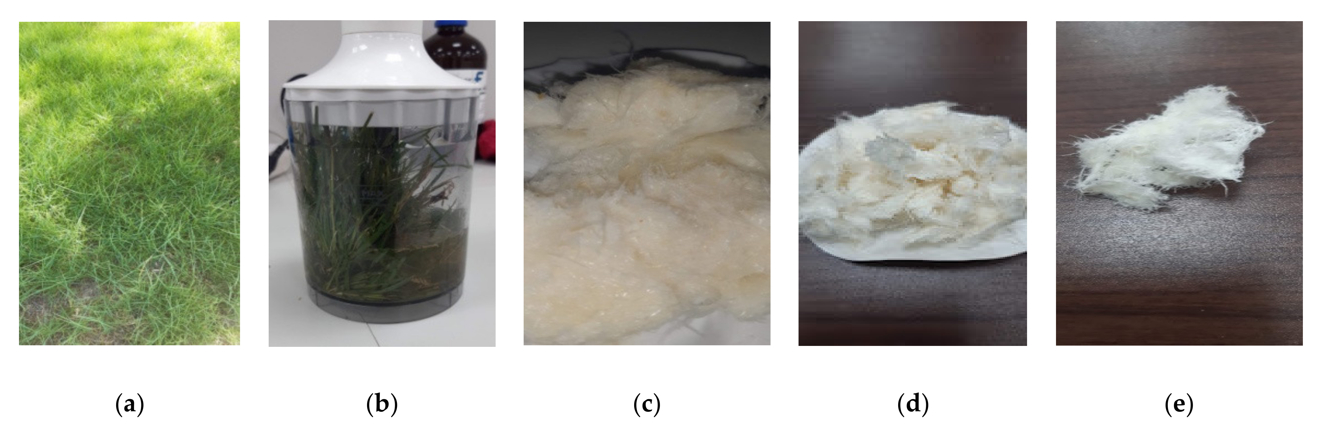Polymers 14 01930 g001