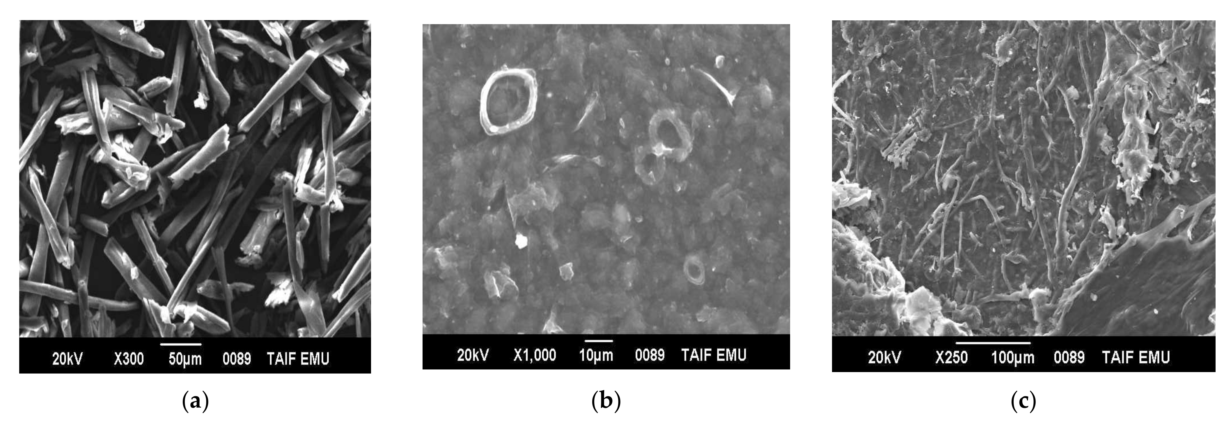 Polymers 14 01930 g008a