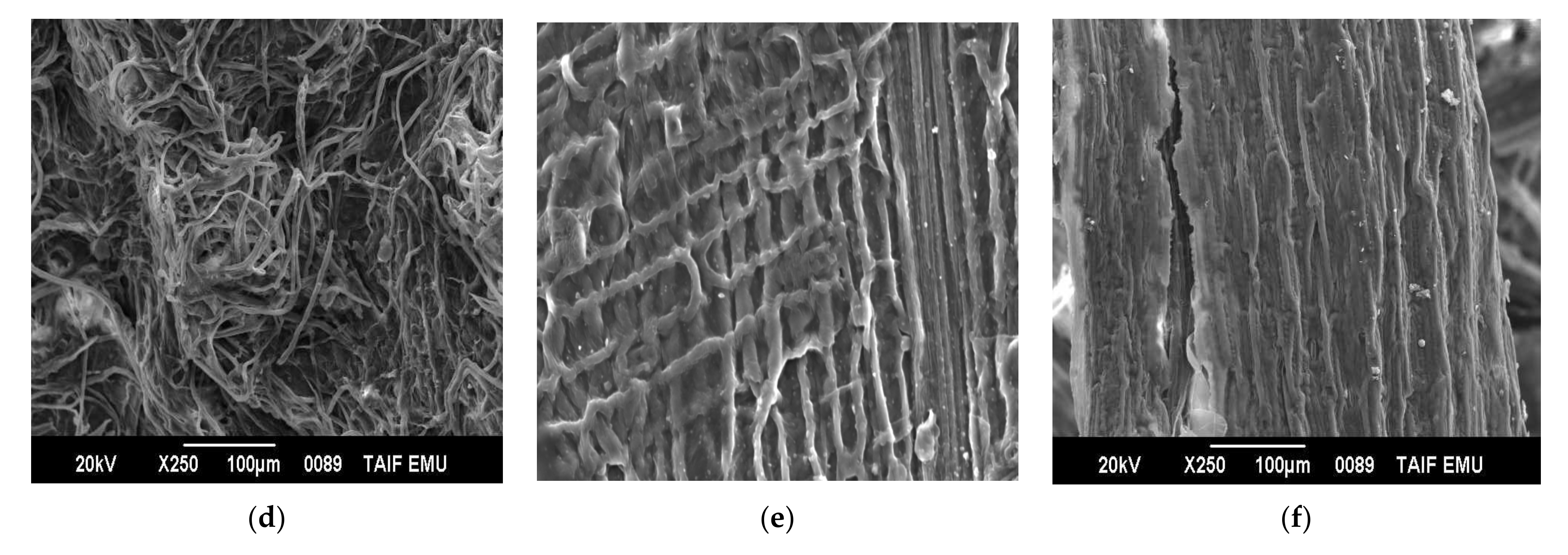 Polymers 14 01930 g008b