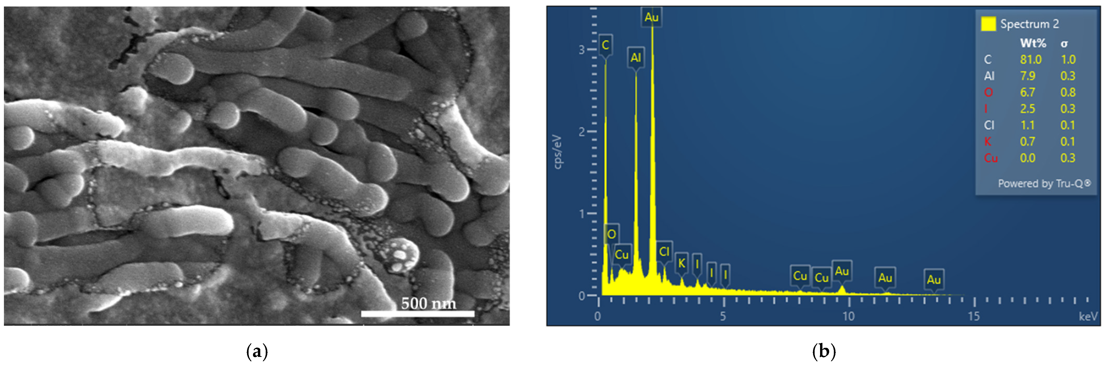 Polymers 14 01932 g001 550