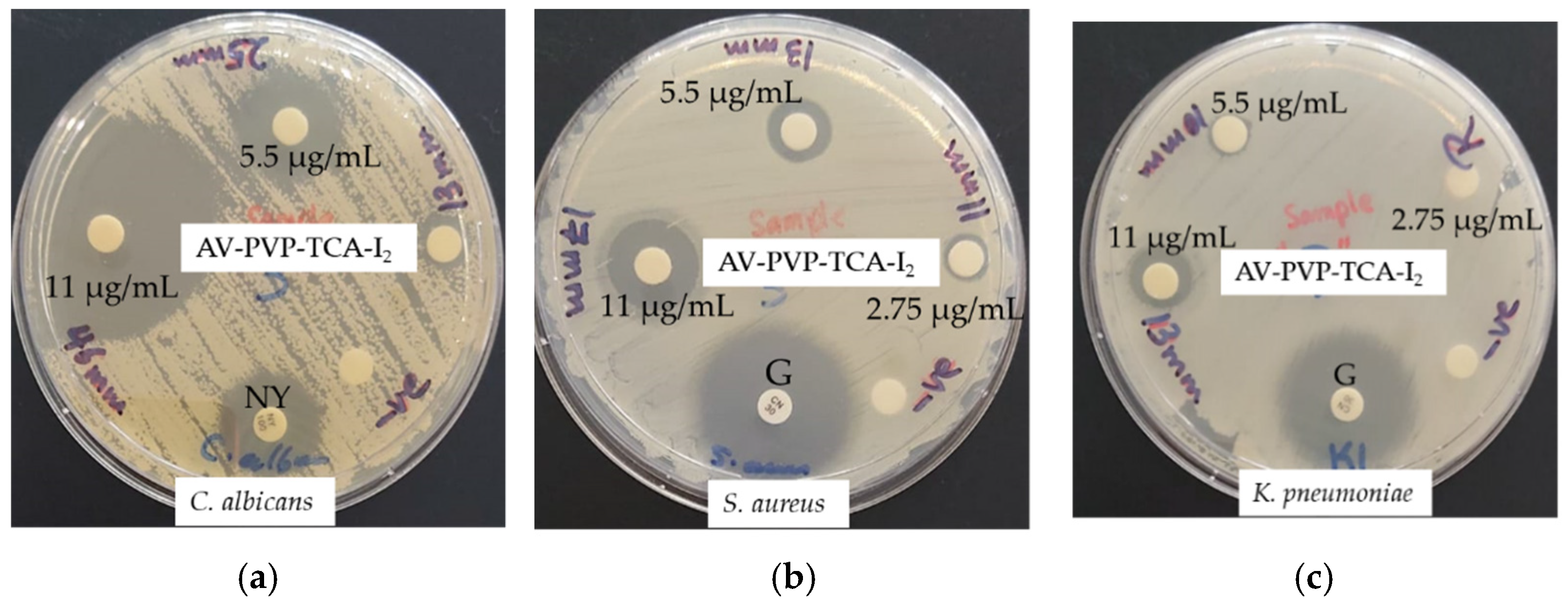 Polymers 14 01932 g009 550