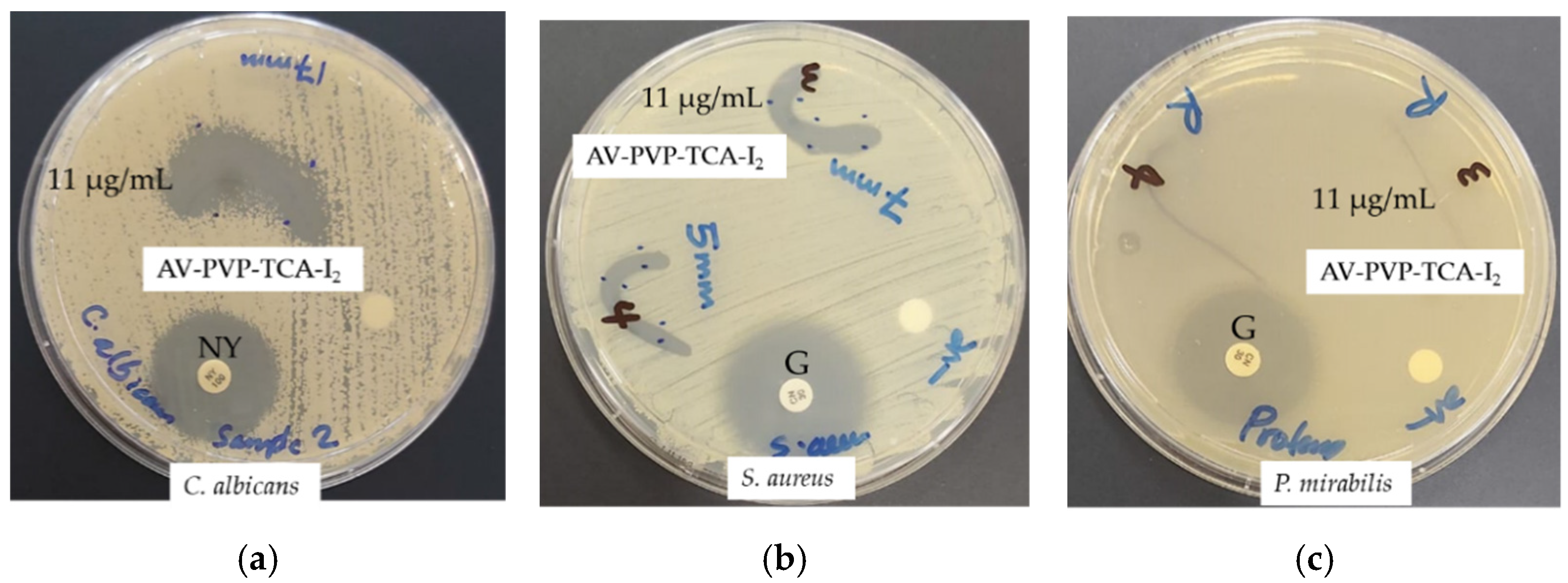 Polymers 14 01932 g010 550