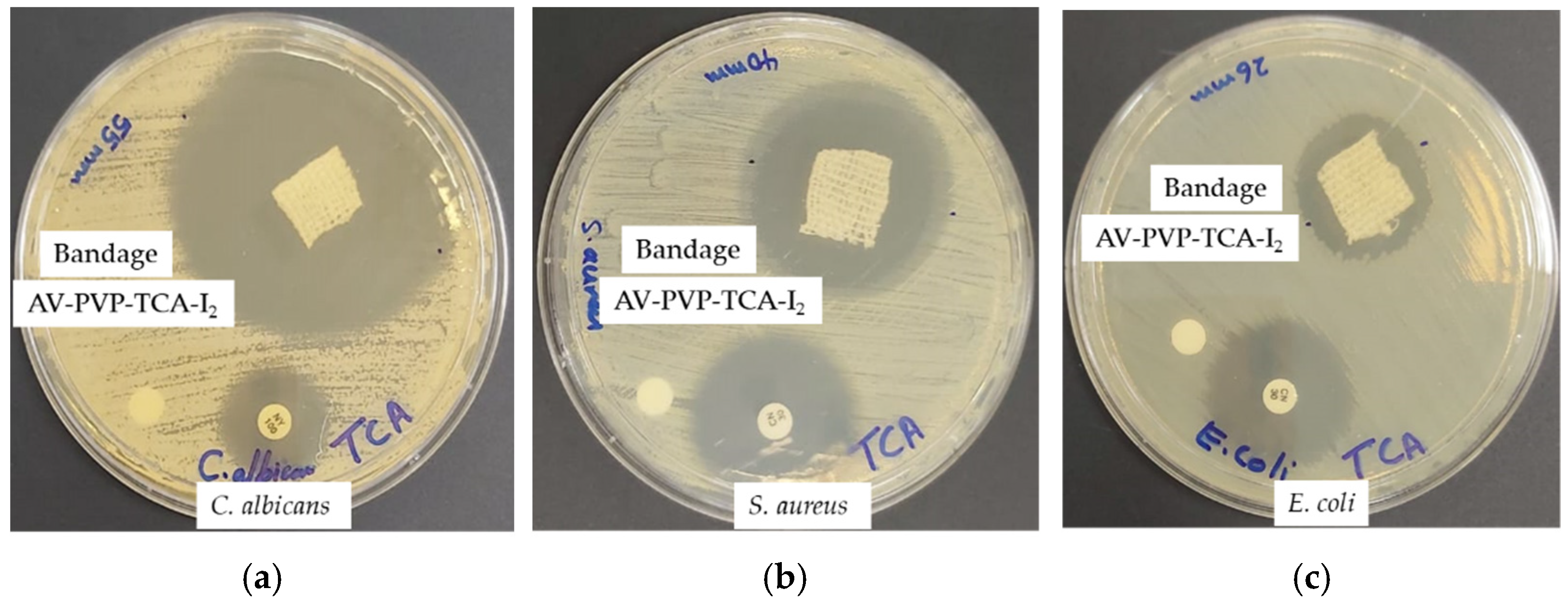 Polymers 14 01932 g012 550