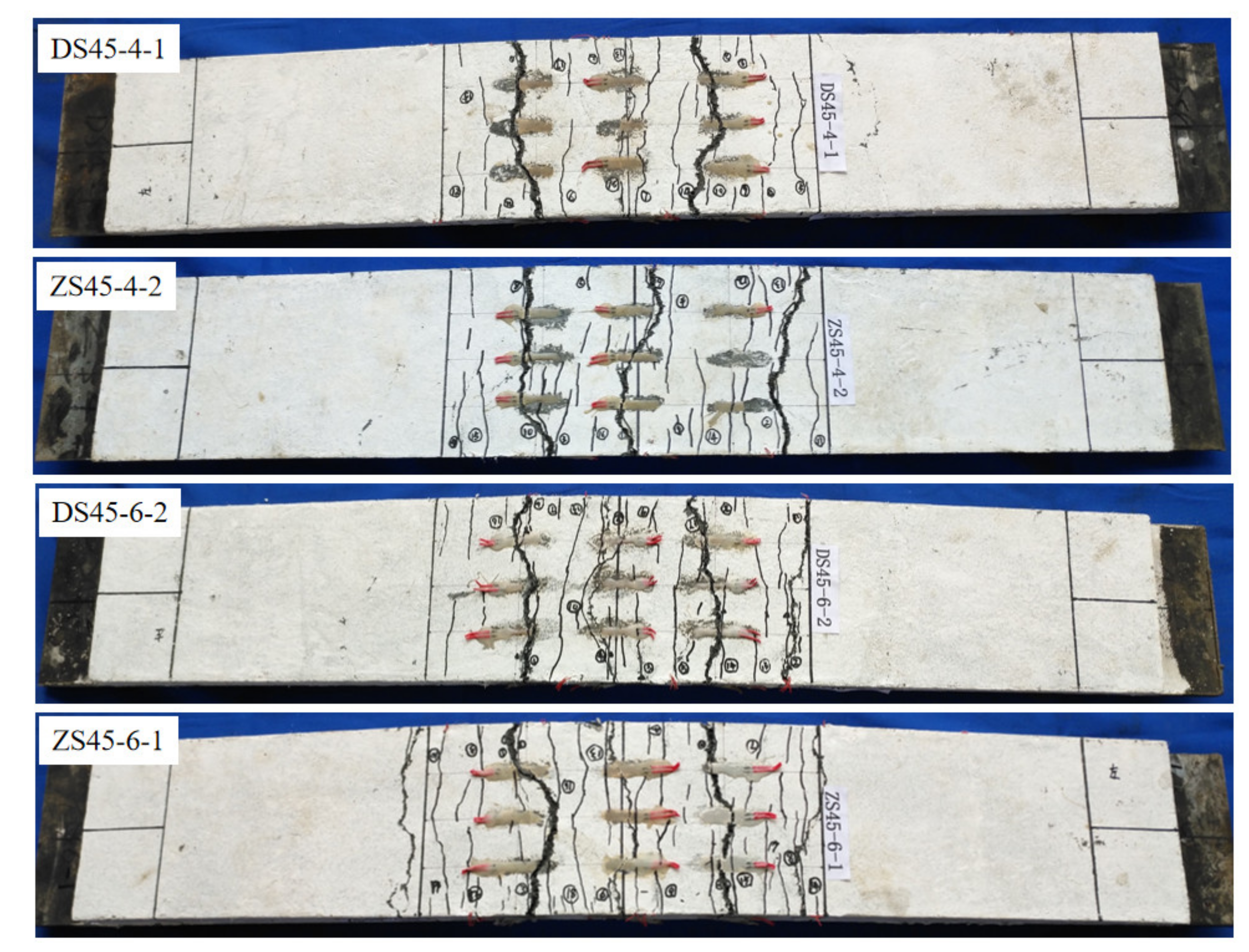 Polymers 14 01933 g013