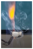 Polymers 14 01937 i002