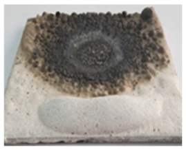 Polymers 14 01937 i029