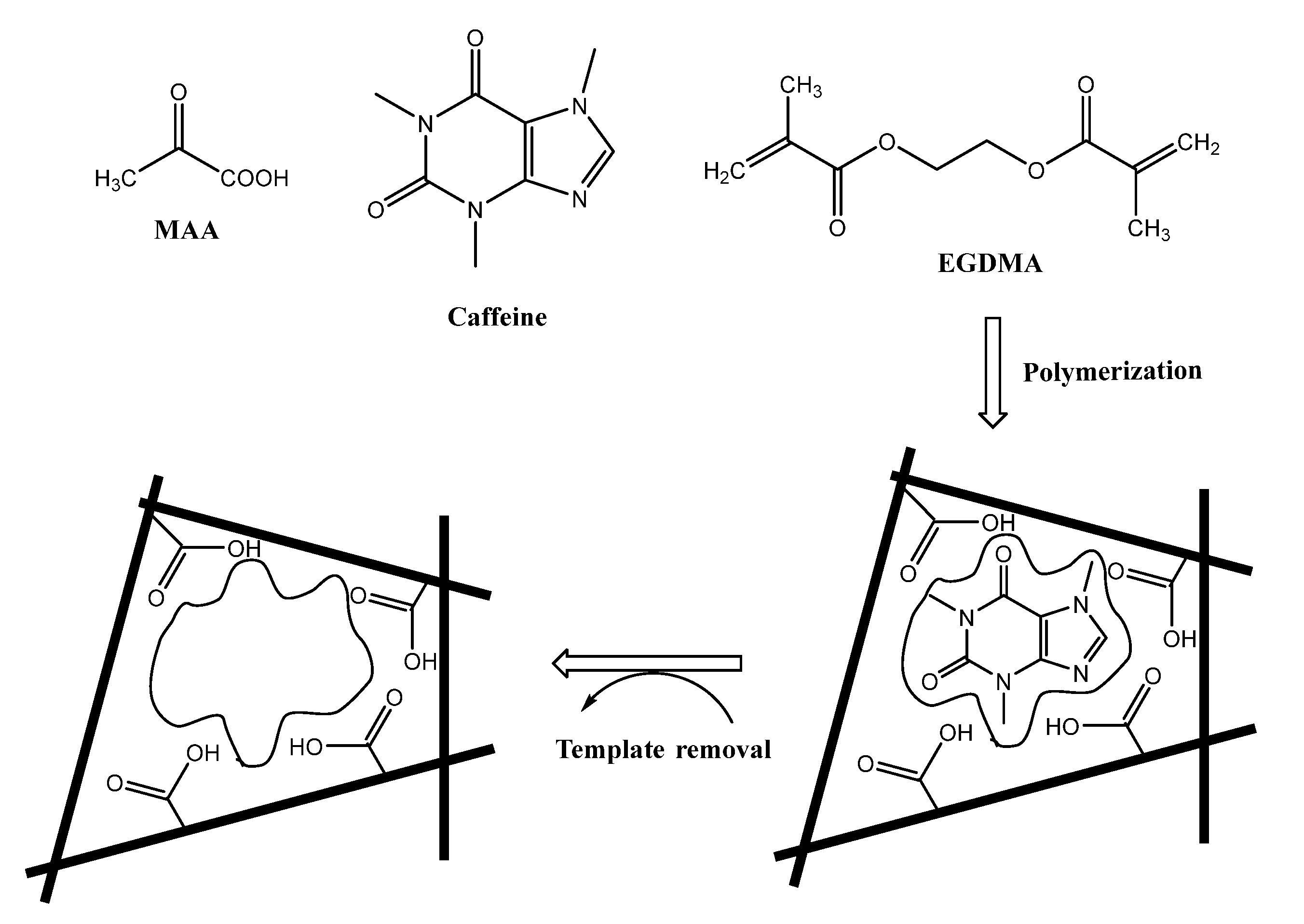 Polymers 14 01942 g002
