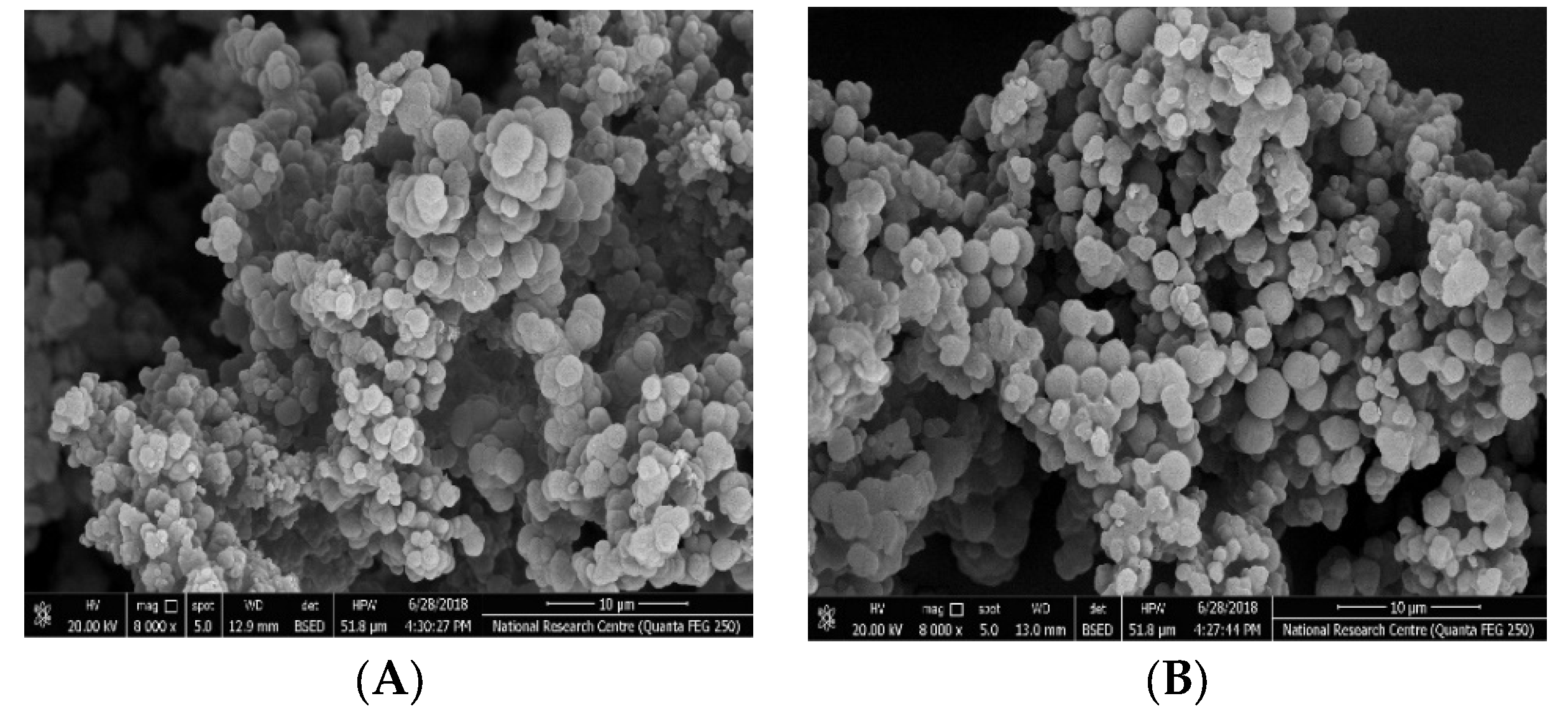 Polymers 14 01942 g003