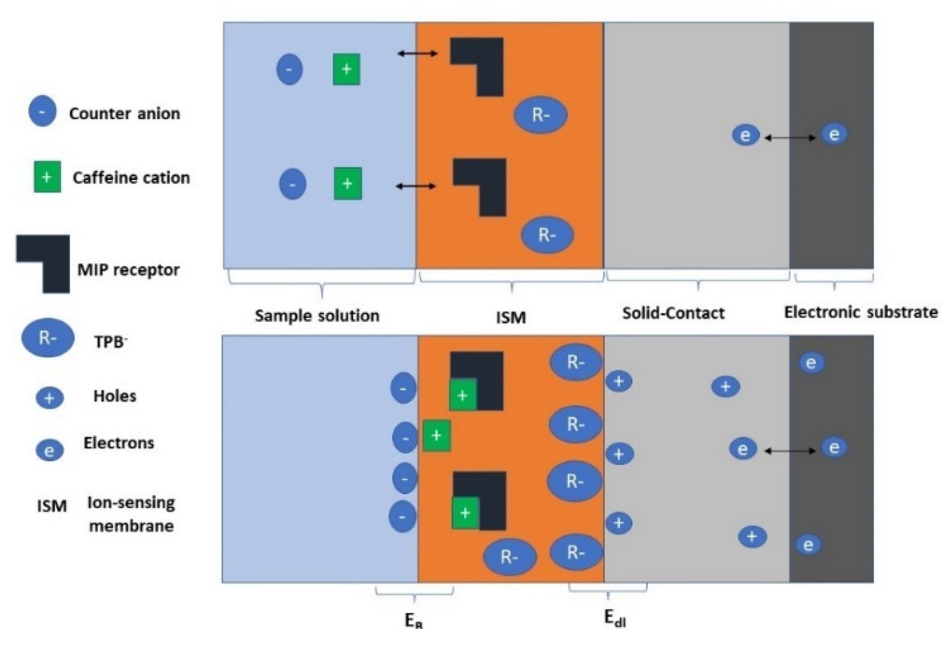 Polymers 14 01942 g005