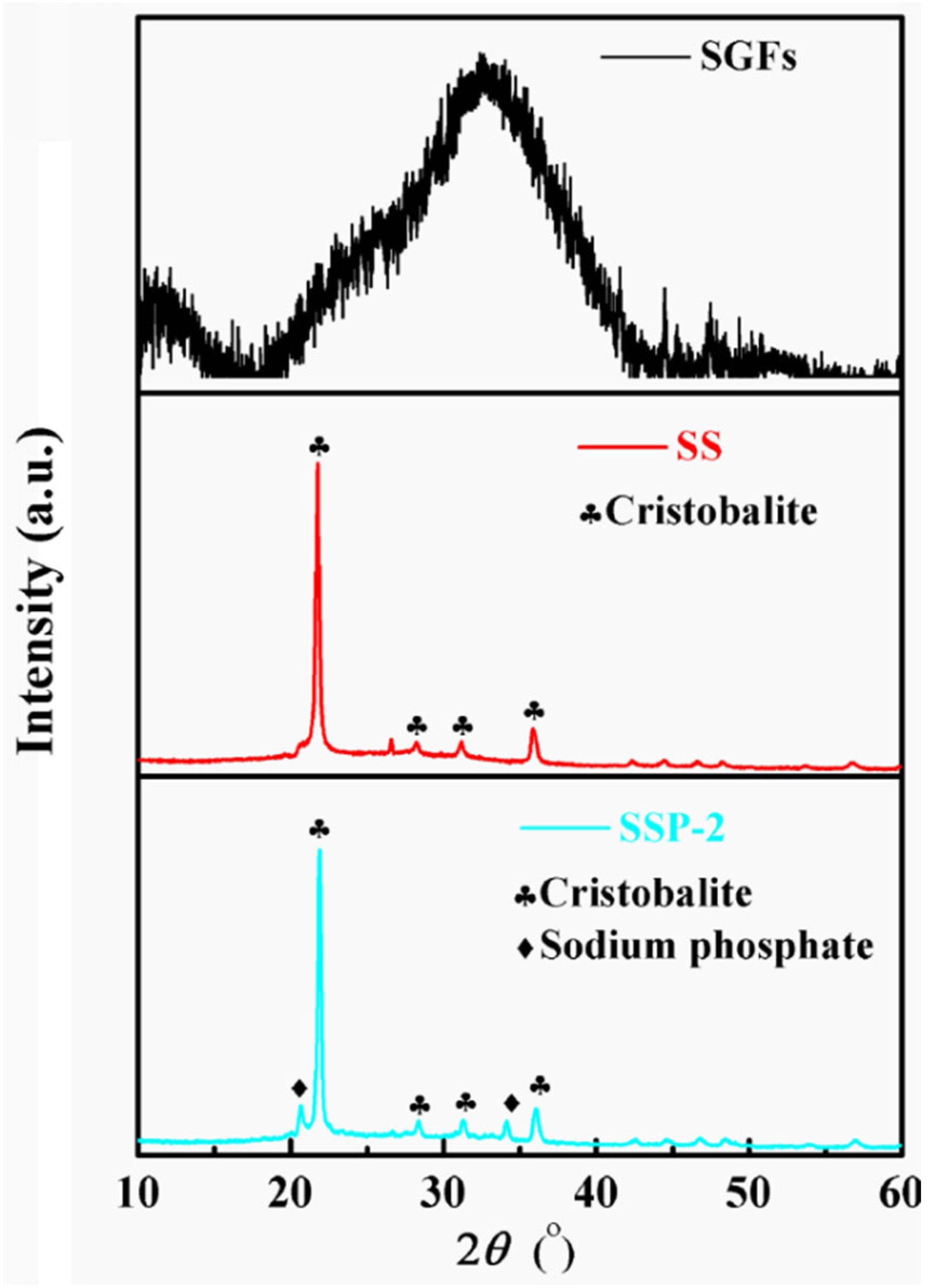 Polymers 14 01944 g005