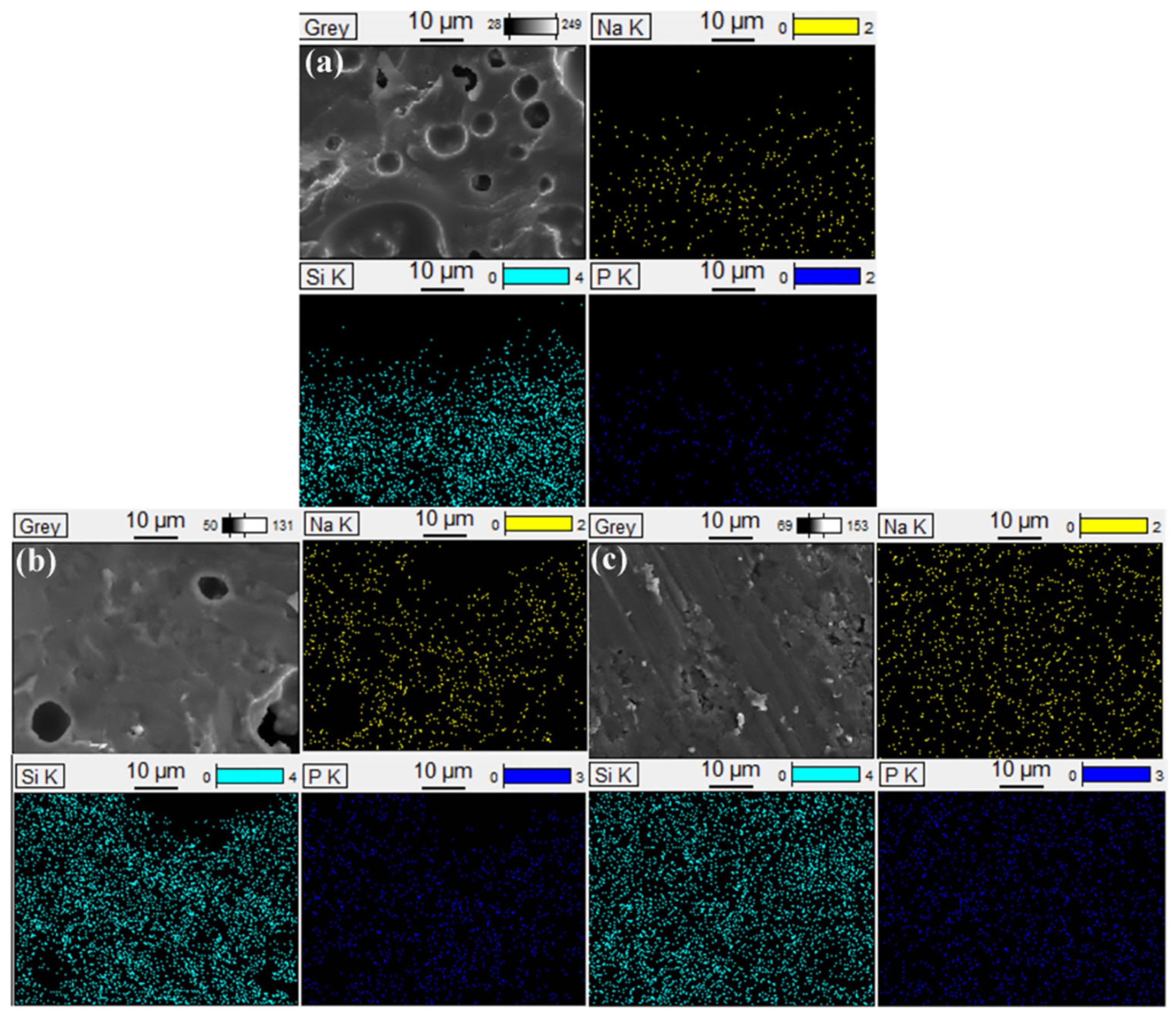 Polymers 14 01944 g009