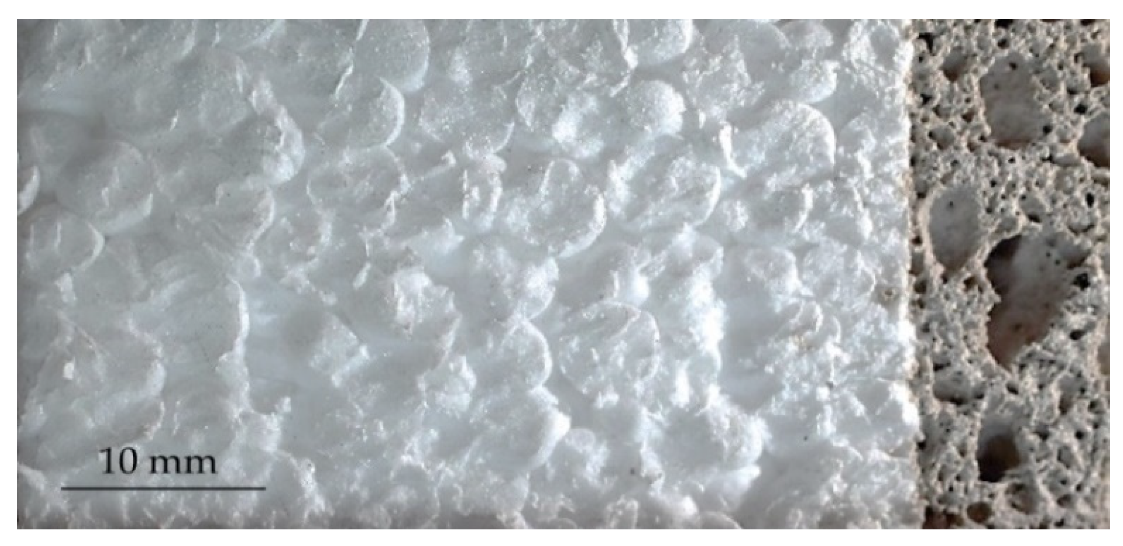 Polymers 14 01945 g008 550