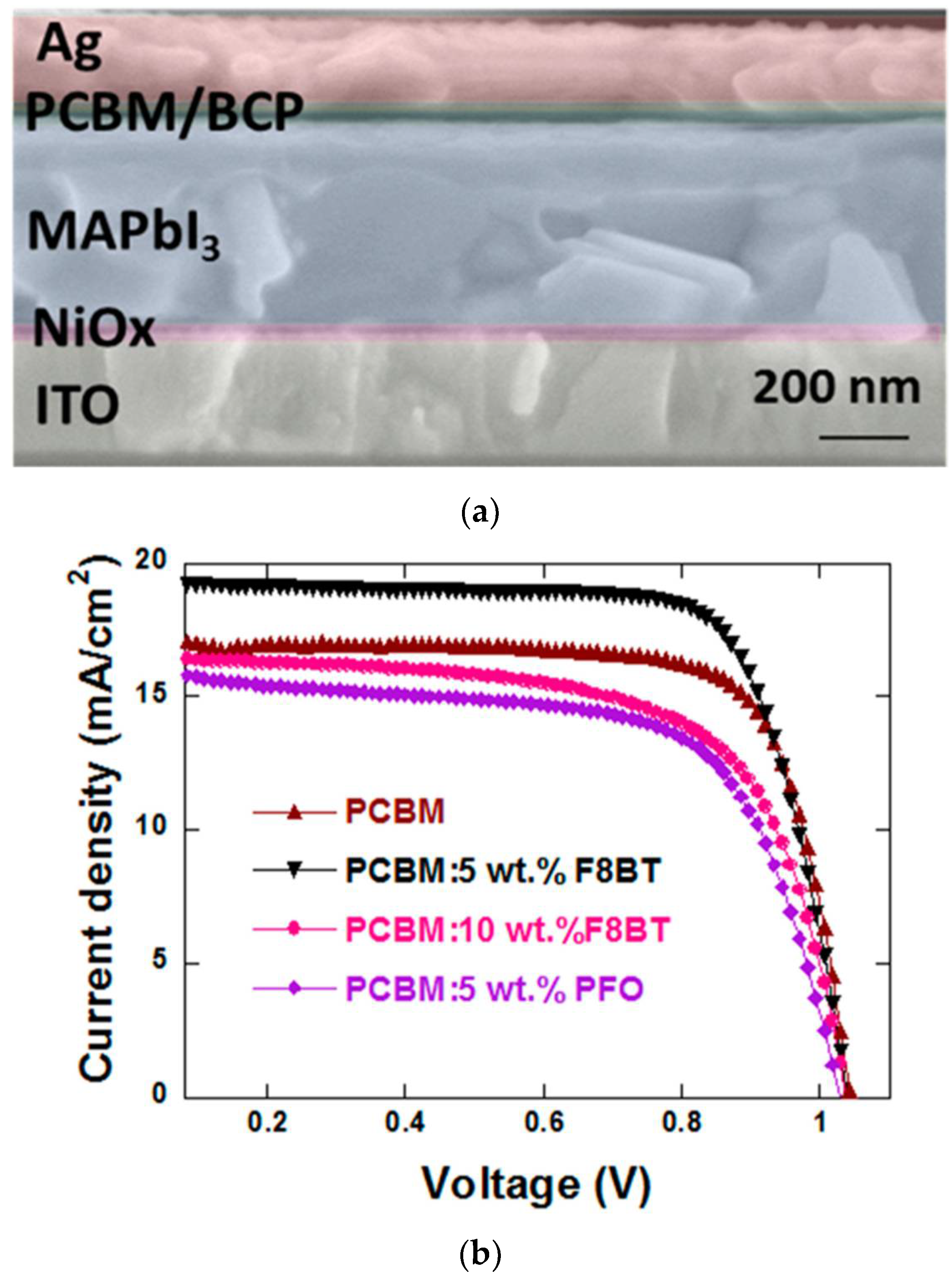 Polymers 14 01946 g006