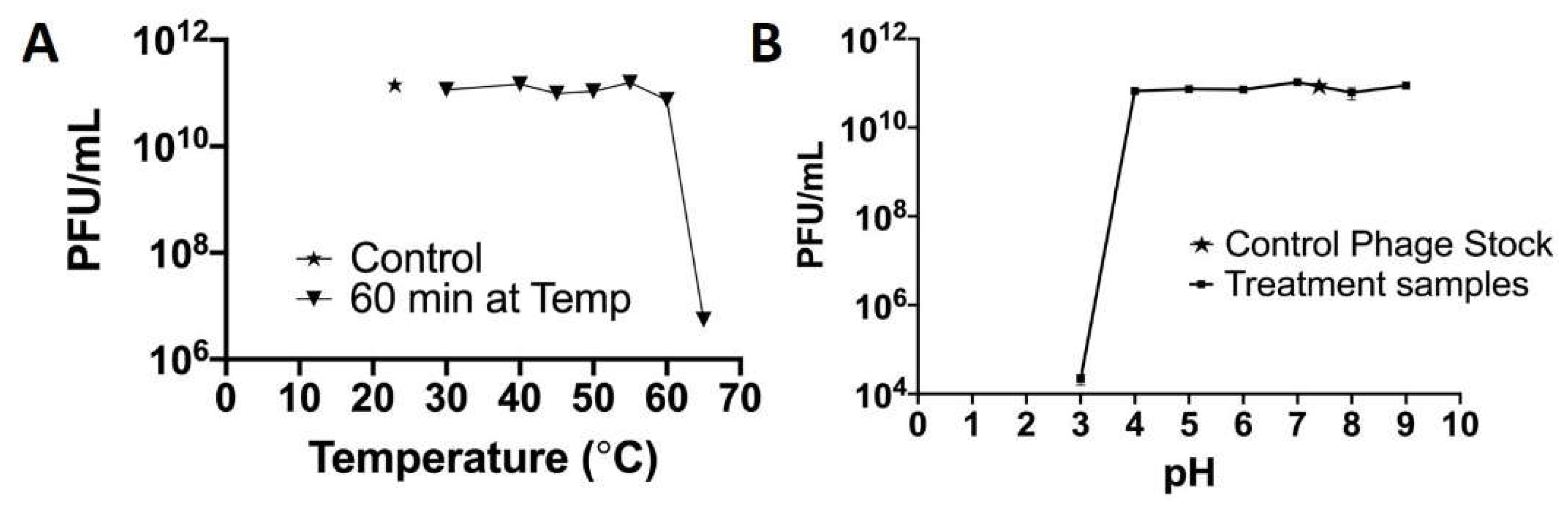 Polymers 14 01948 g009 550