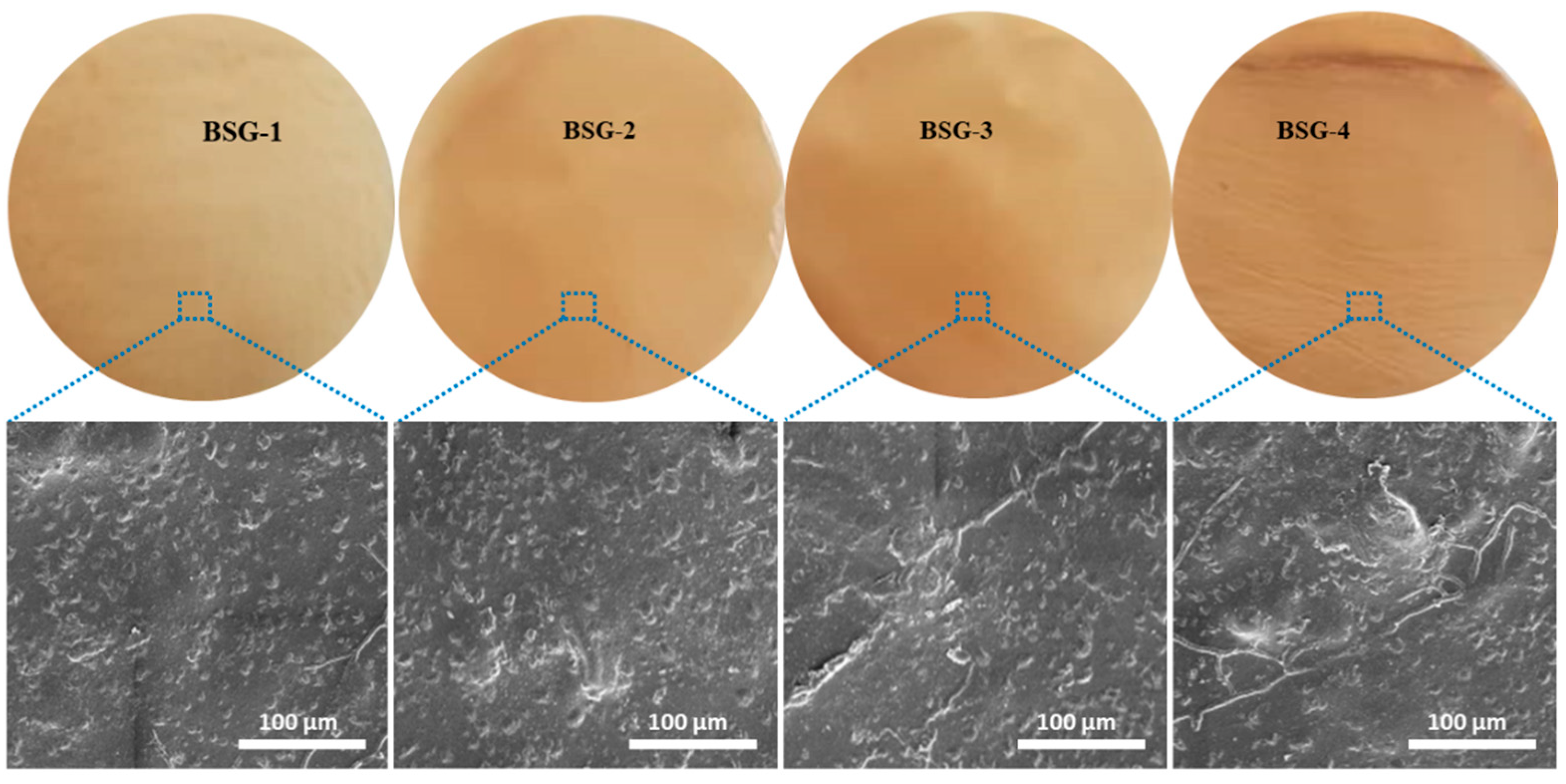 Polymers 14 01949 g002