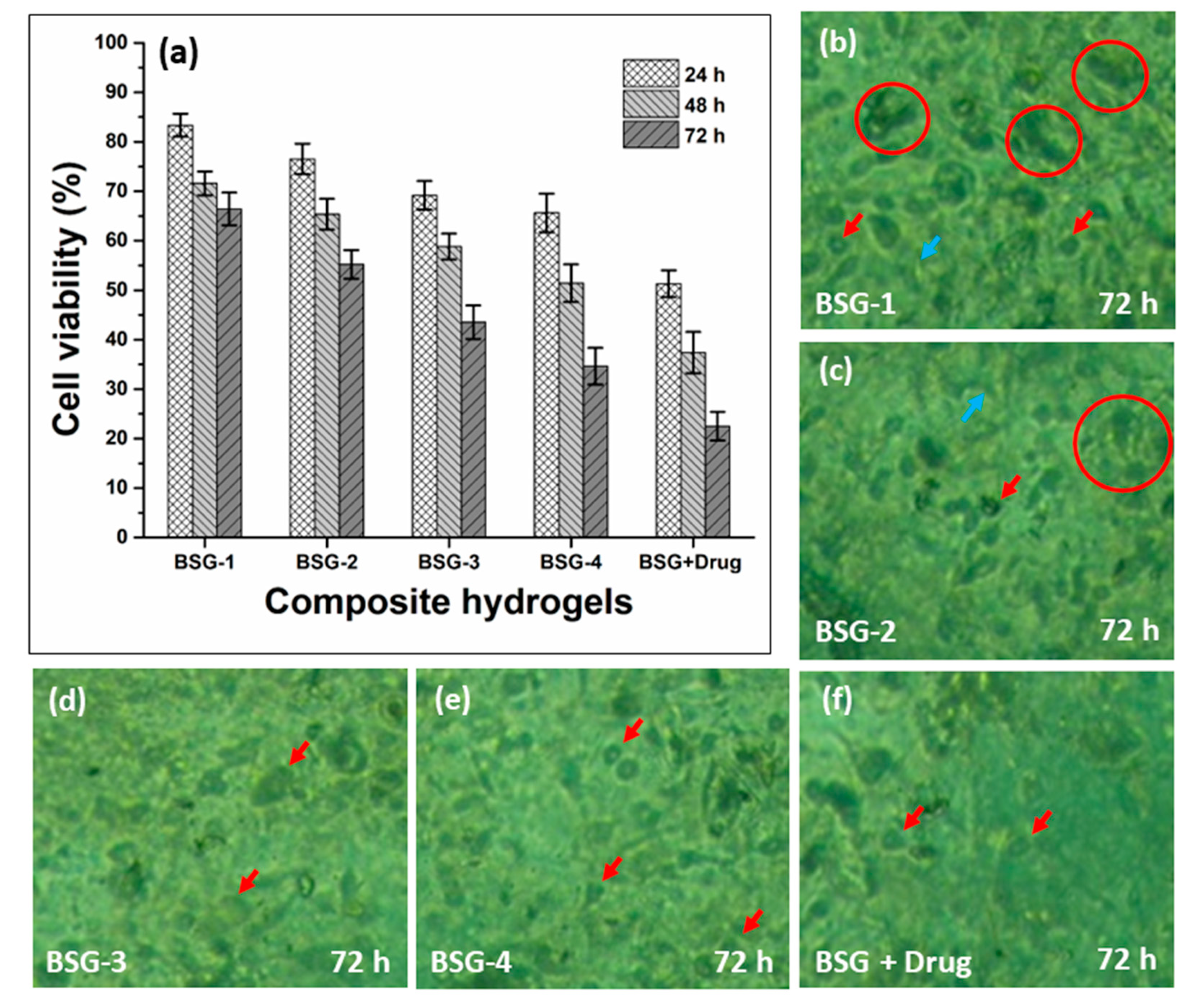 Polymers 14 01949 g008