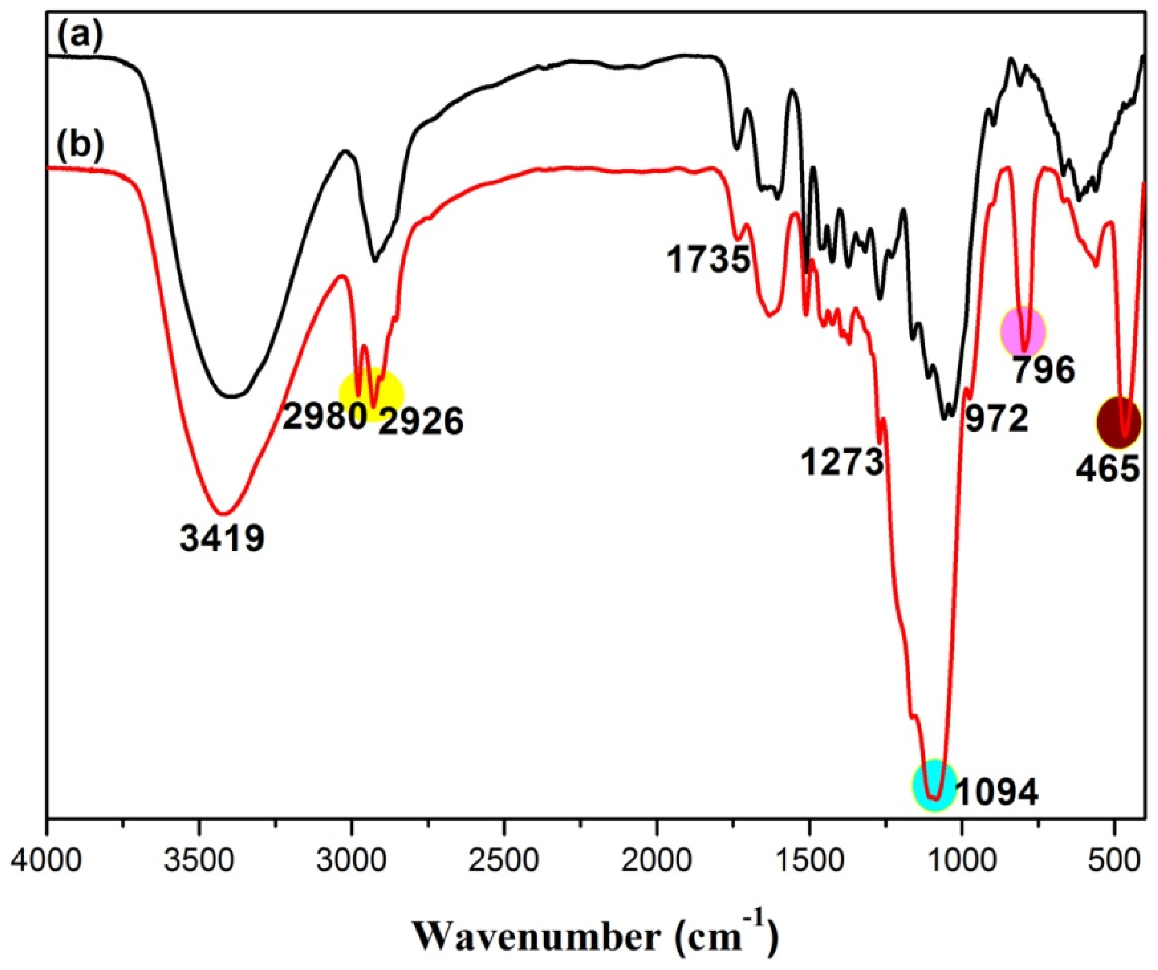 Polymers 14 01953 g003