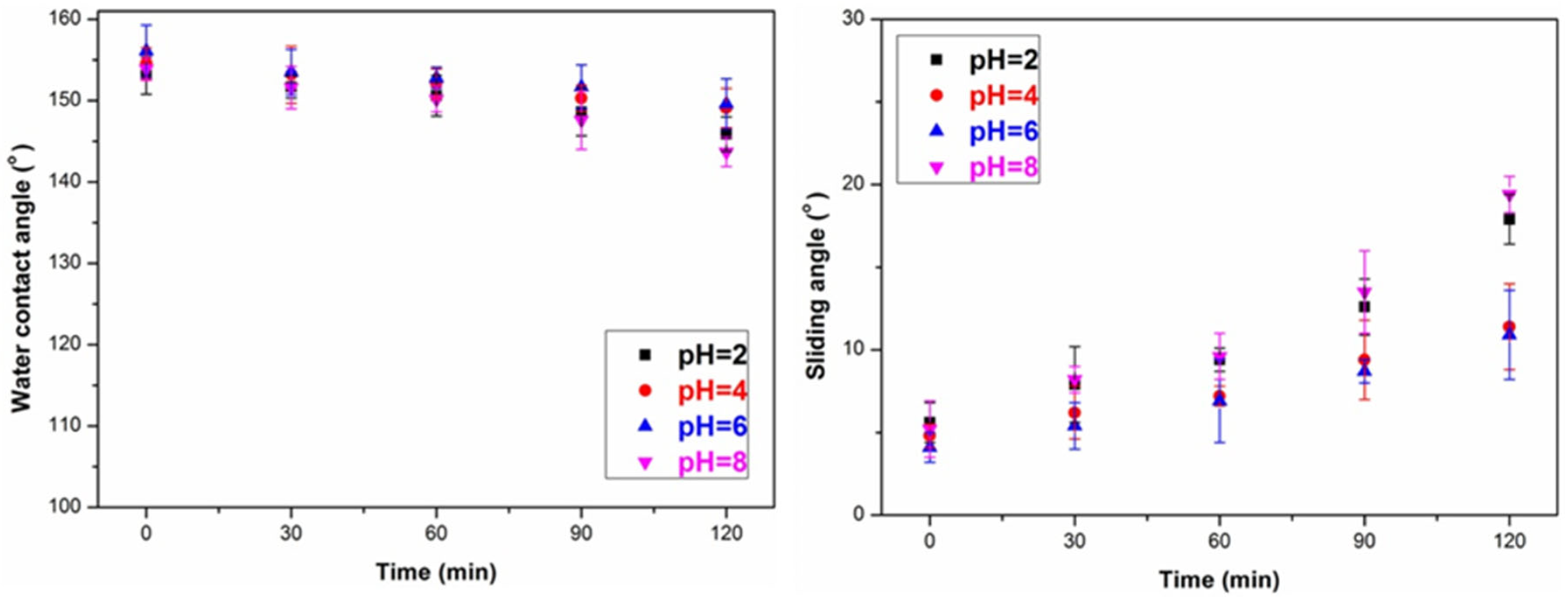 Polymers 14 01953 g004