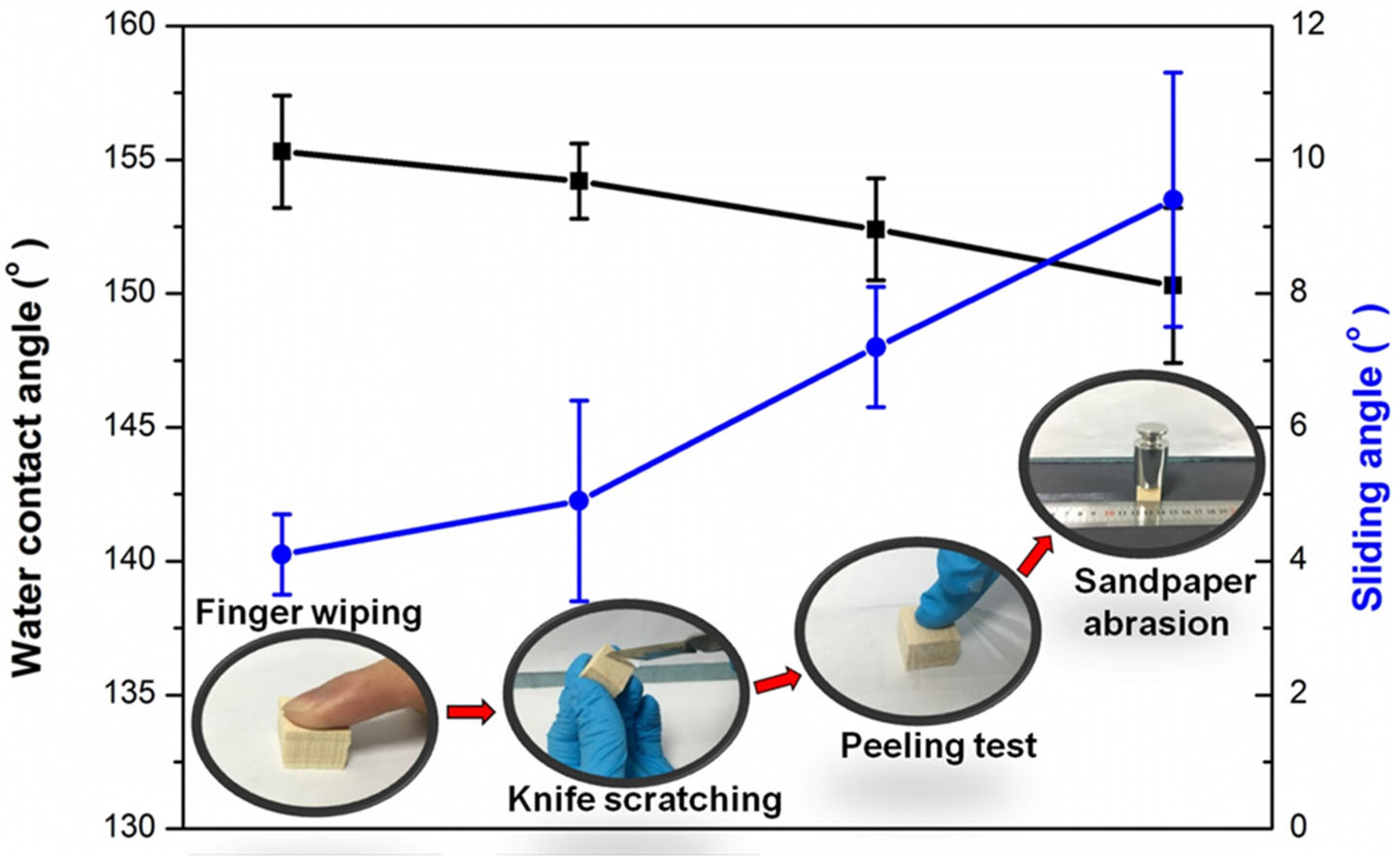 Polymers 14 01953 g005
