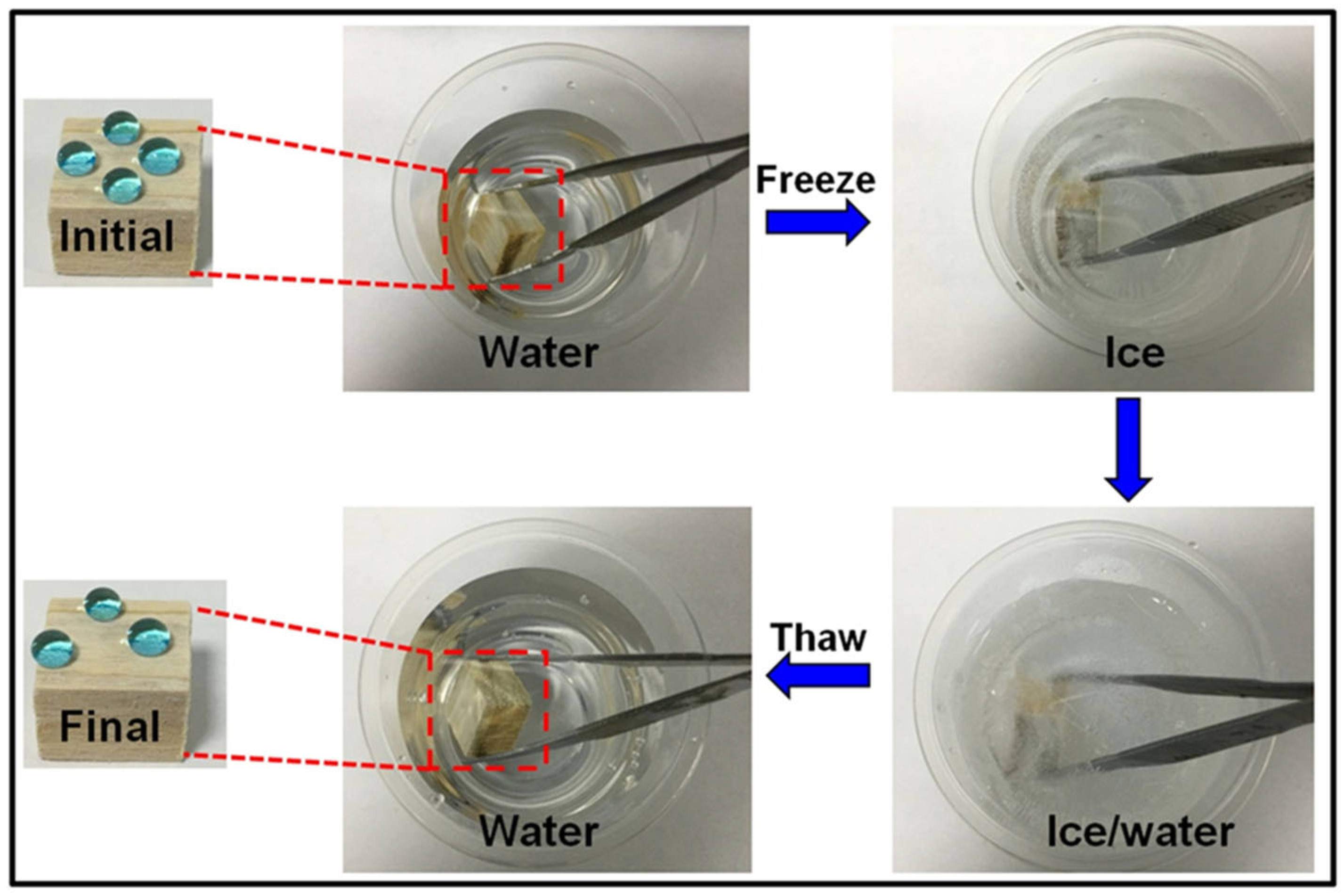 Polymers 14 01953 g008