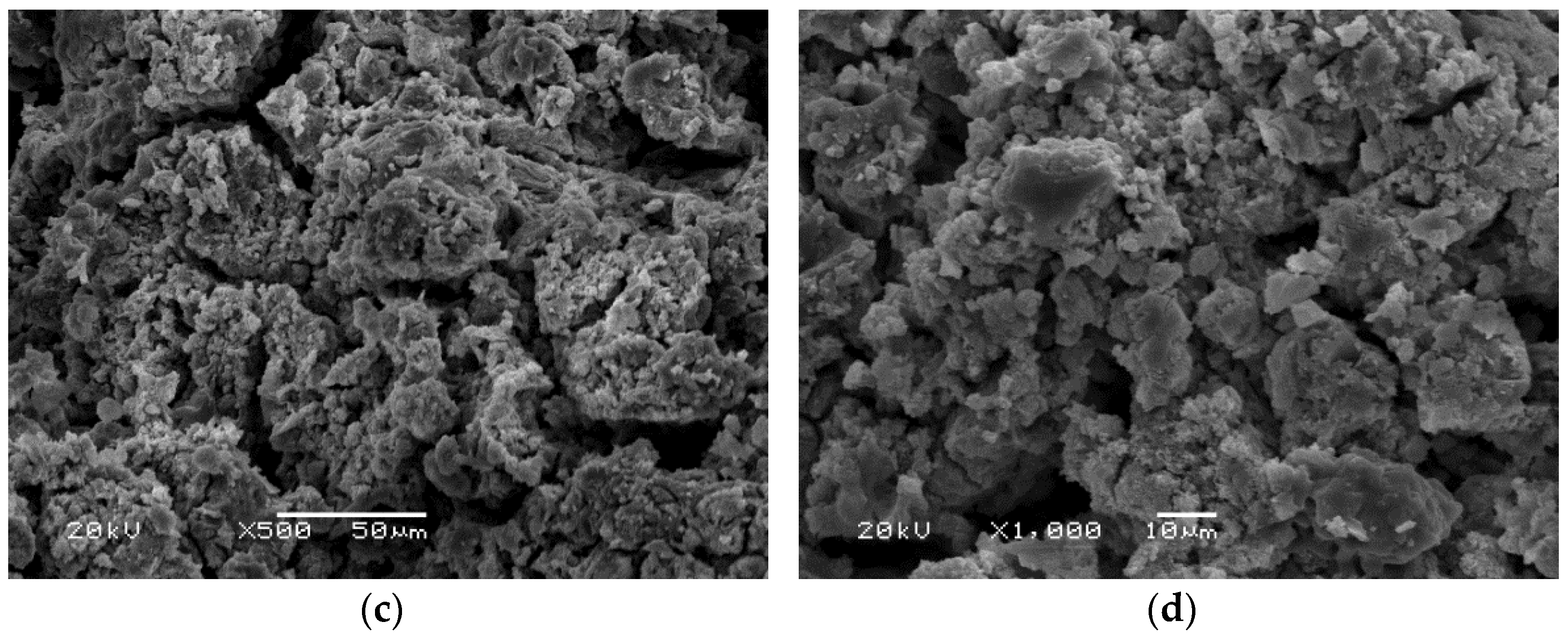 Polymers 14 01954 g006b 550