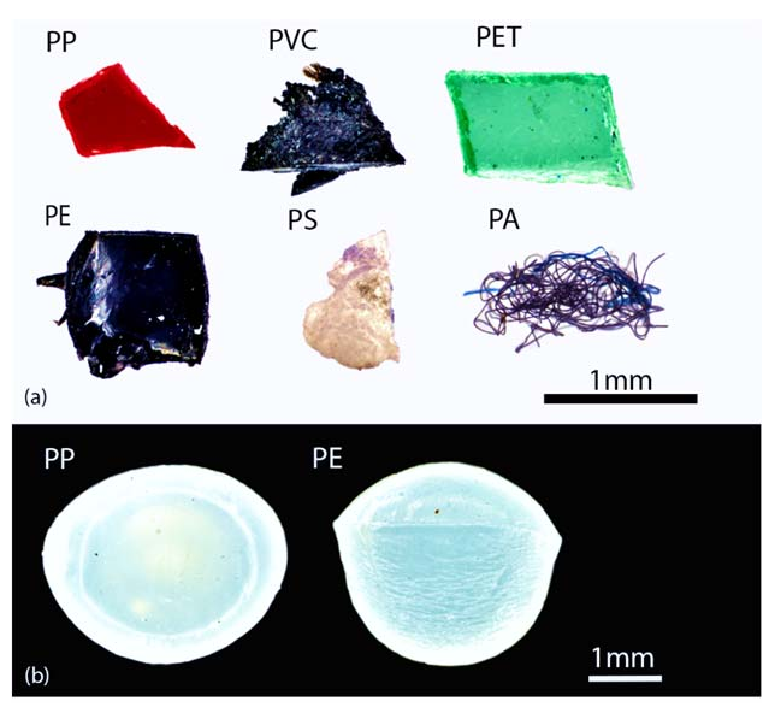 Polymers 14 01958 g001