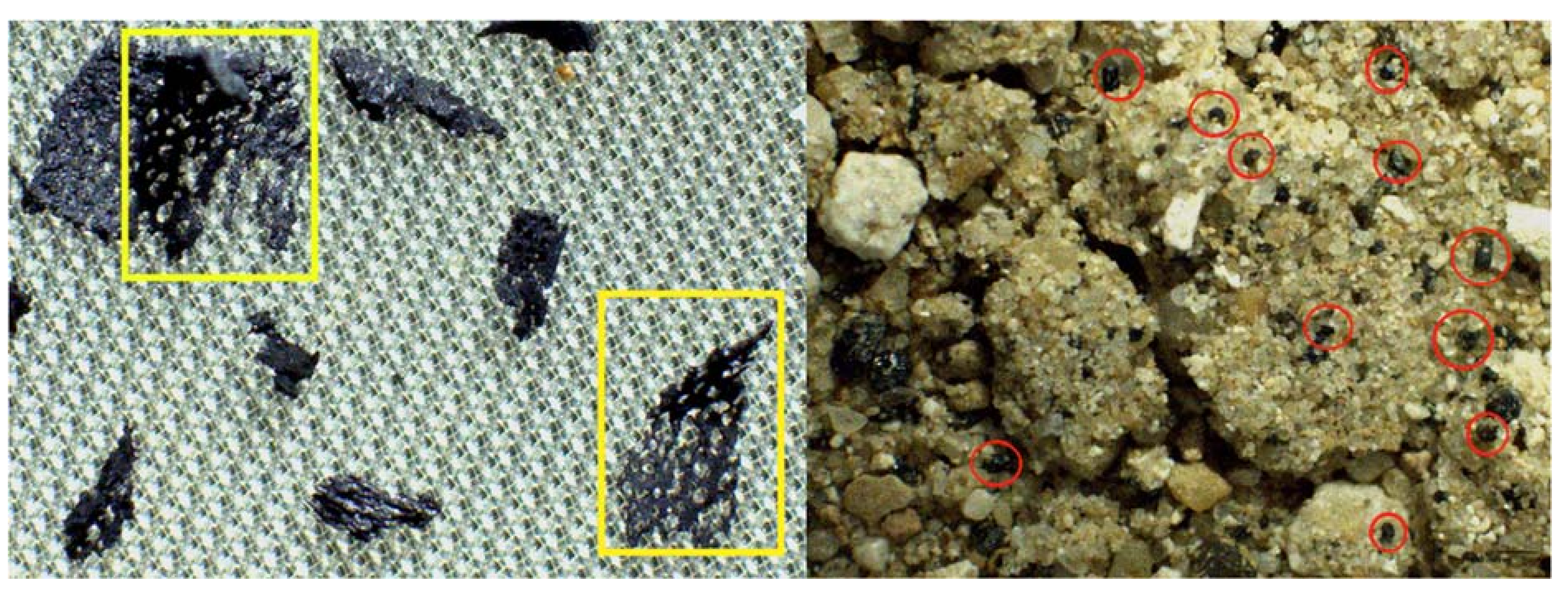 Polymers 14 01958 g004