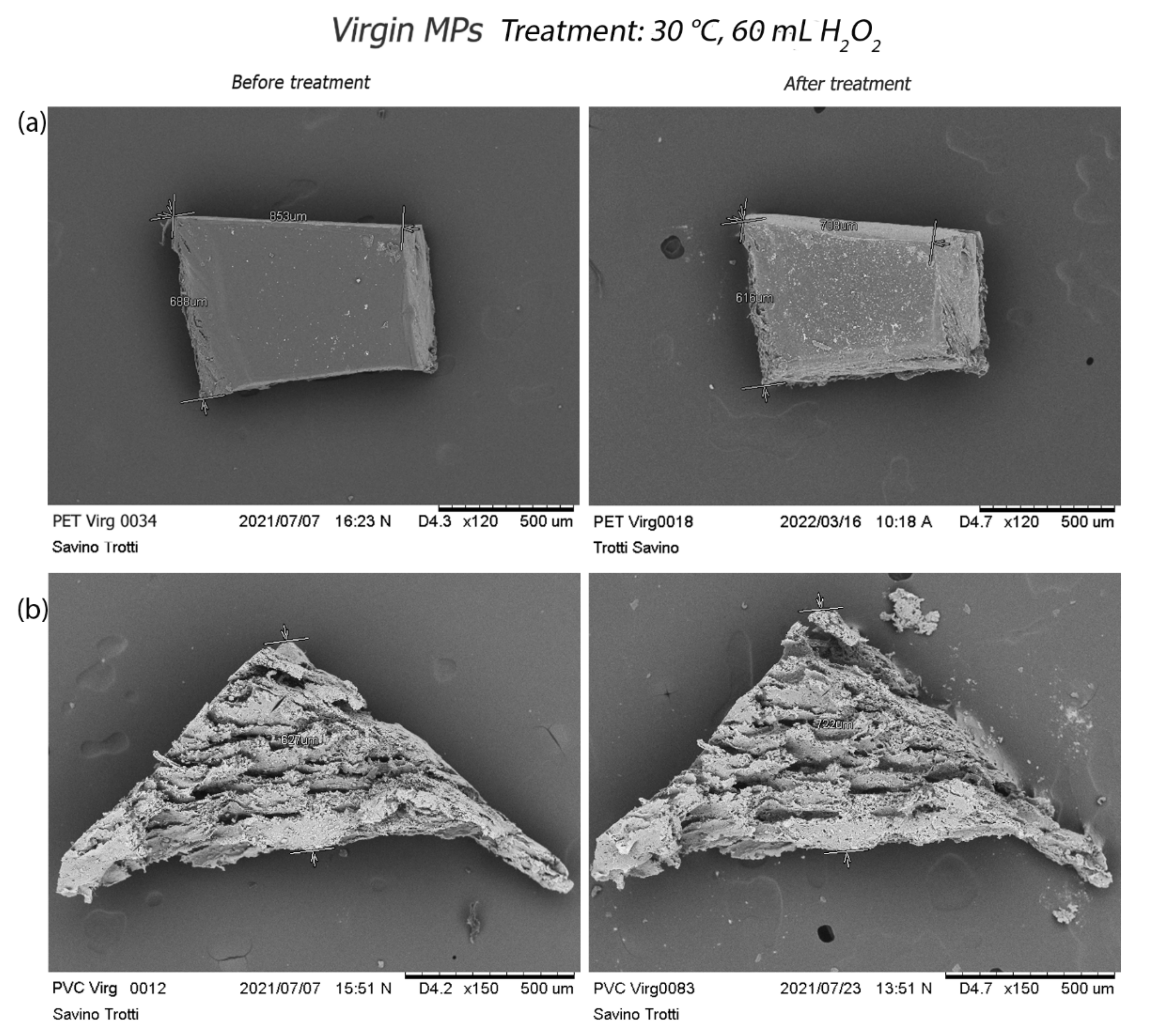 Polymers 14 01958 g006