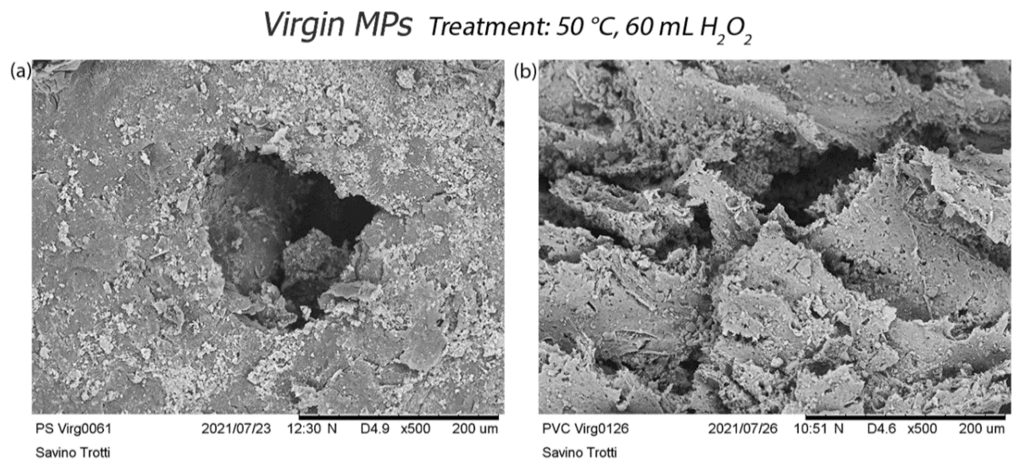 Polymers 14 01958 g007