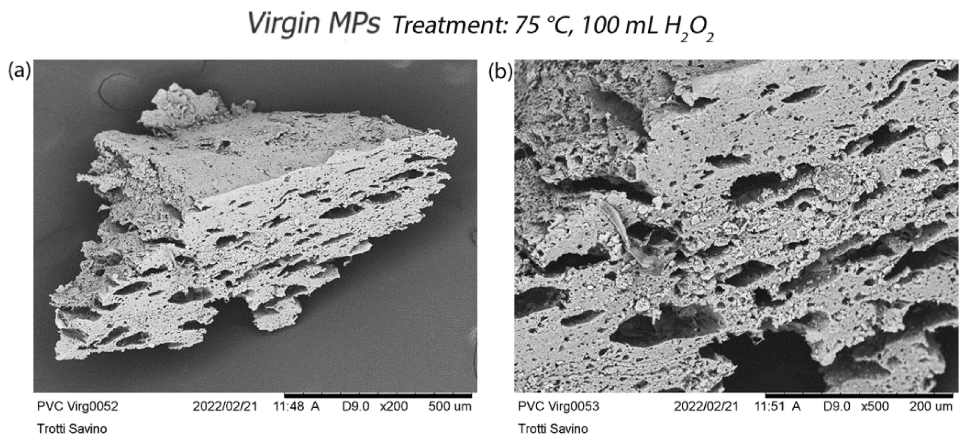 Polymers 14 01958 g008