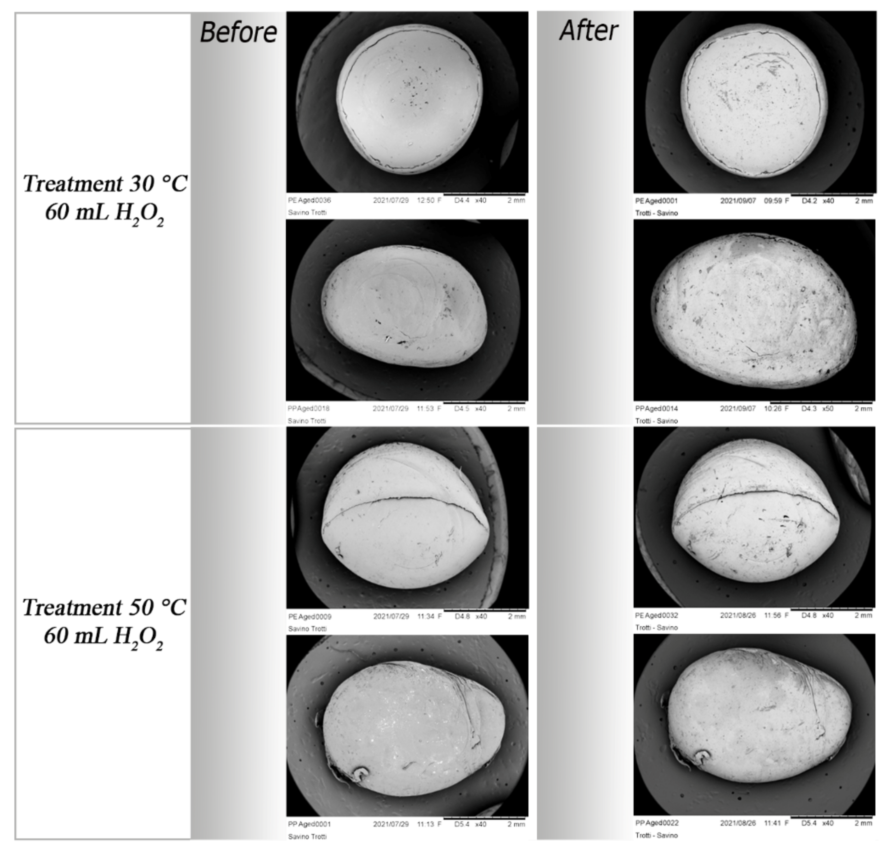 Polymers 14 01958 g013a