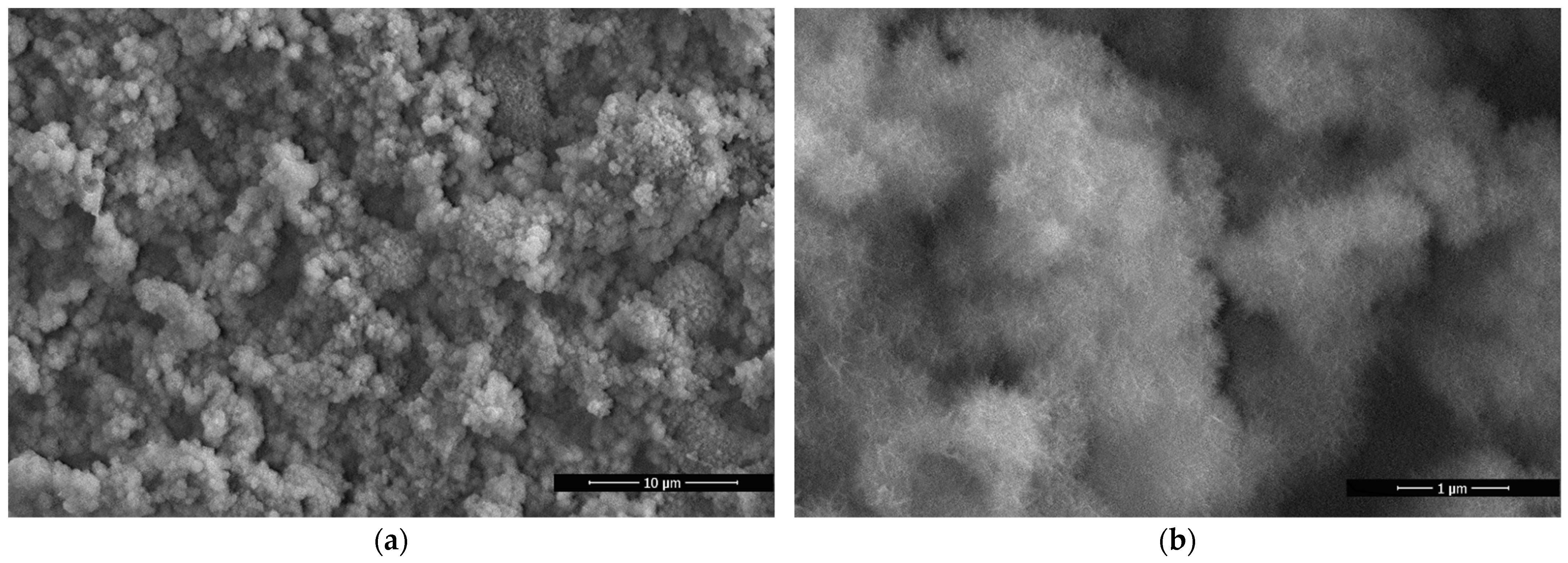 Polymers 14 01960 g002 550