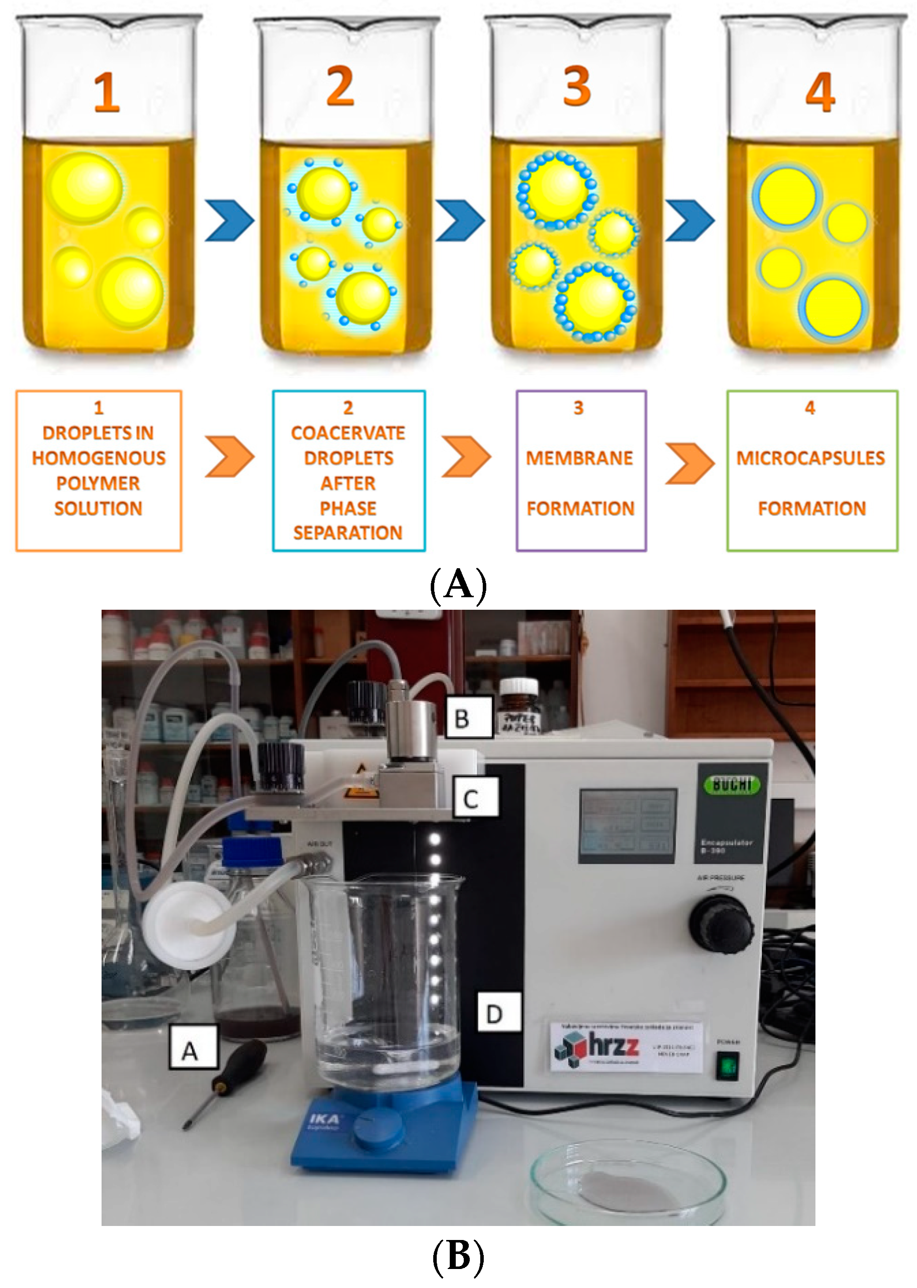 Polymers 14 01961 g001 550