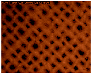 Polymers 14 01961 i001