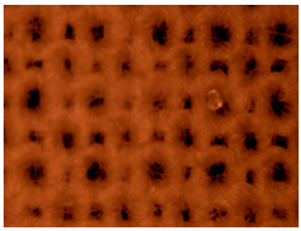 Polymers 14 01961 i002