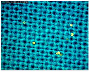 Polymers 14 01961 i004