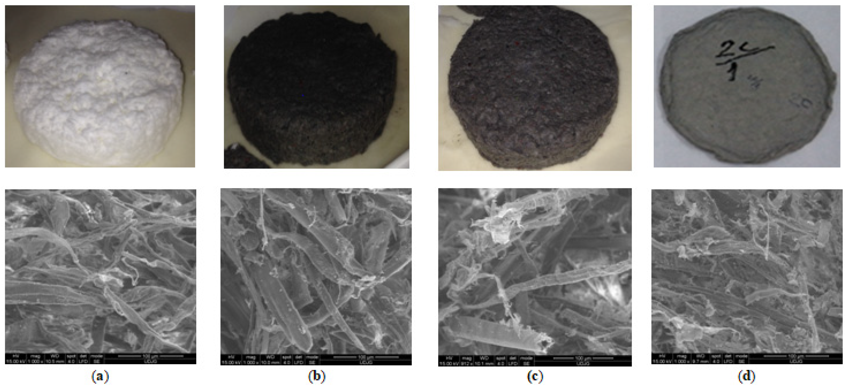 Polymers 14 01963 g006