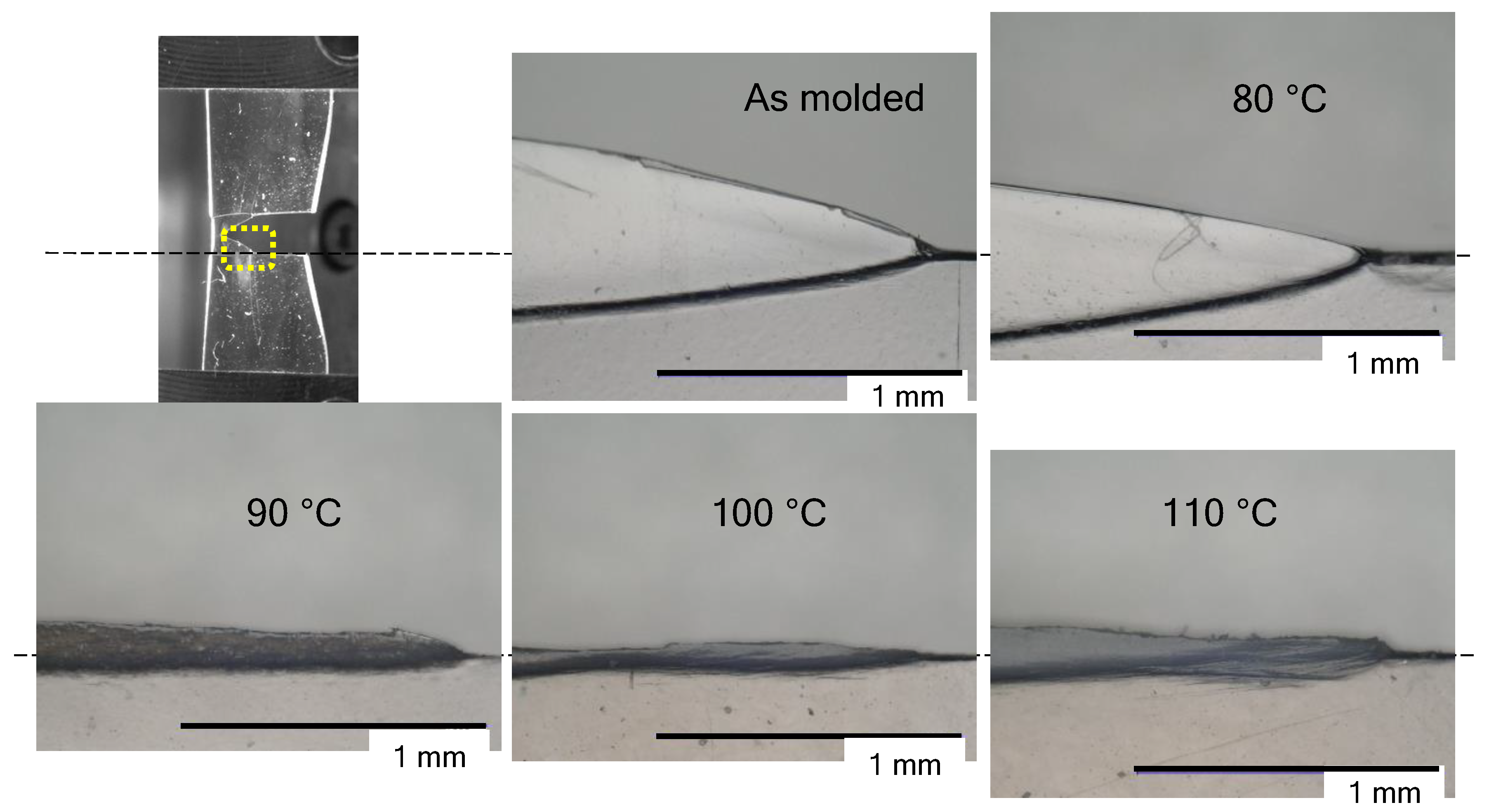 Polymers 14 01965 g005