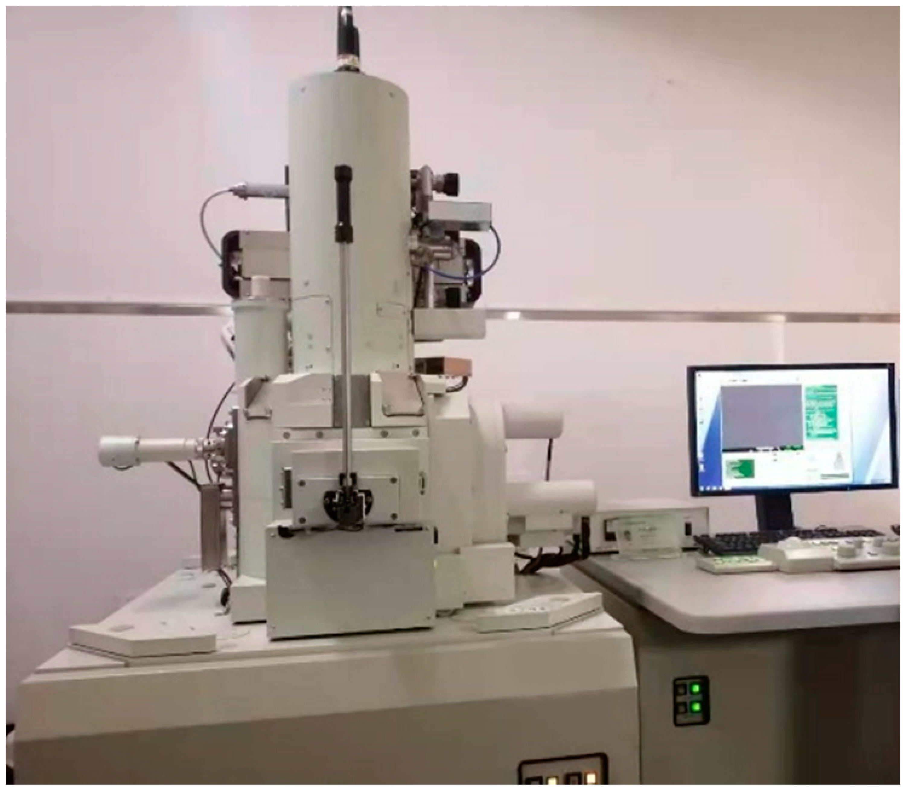 Polymers 14 01969 g004 550