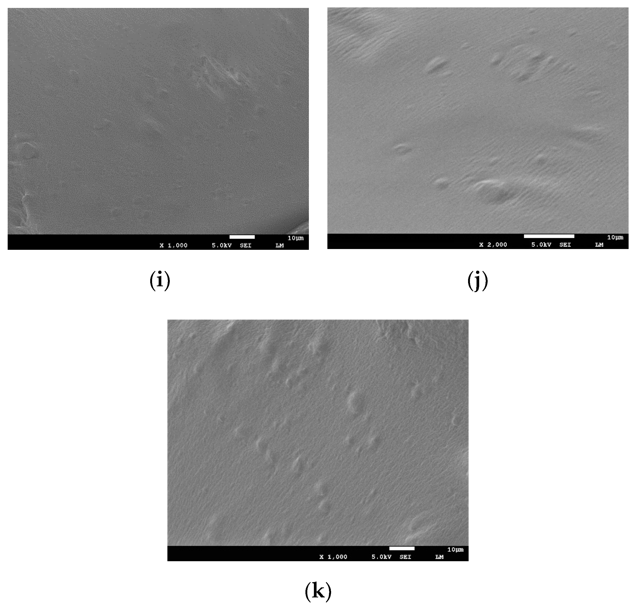 Polymers 14 01969 g014b 550