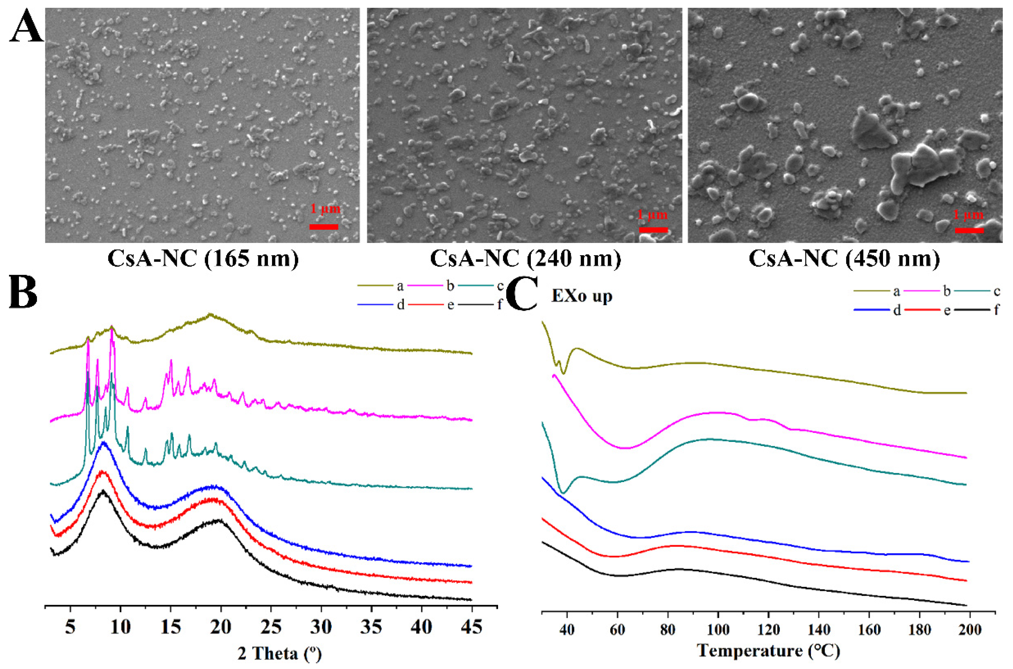 Polymers 14 01975 g002 550