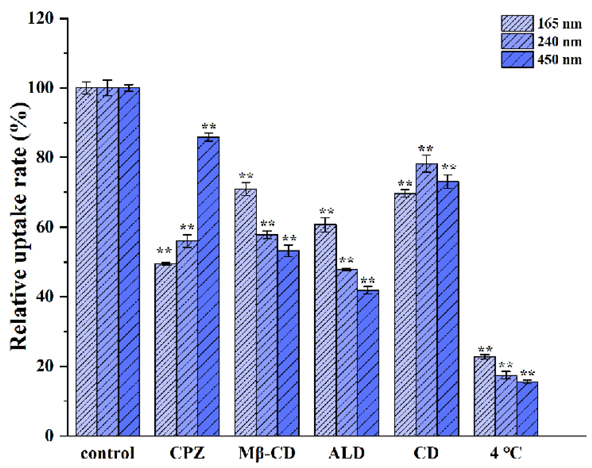 Polymers 14 01975 g007 550