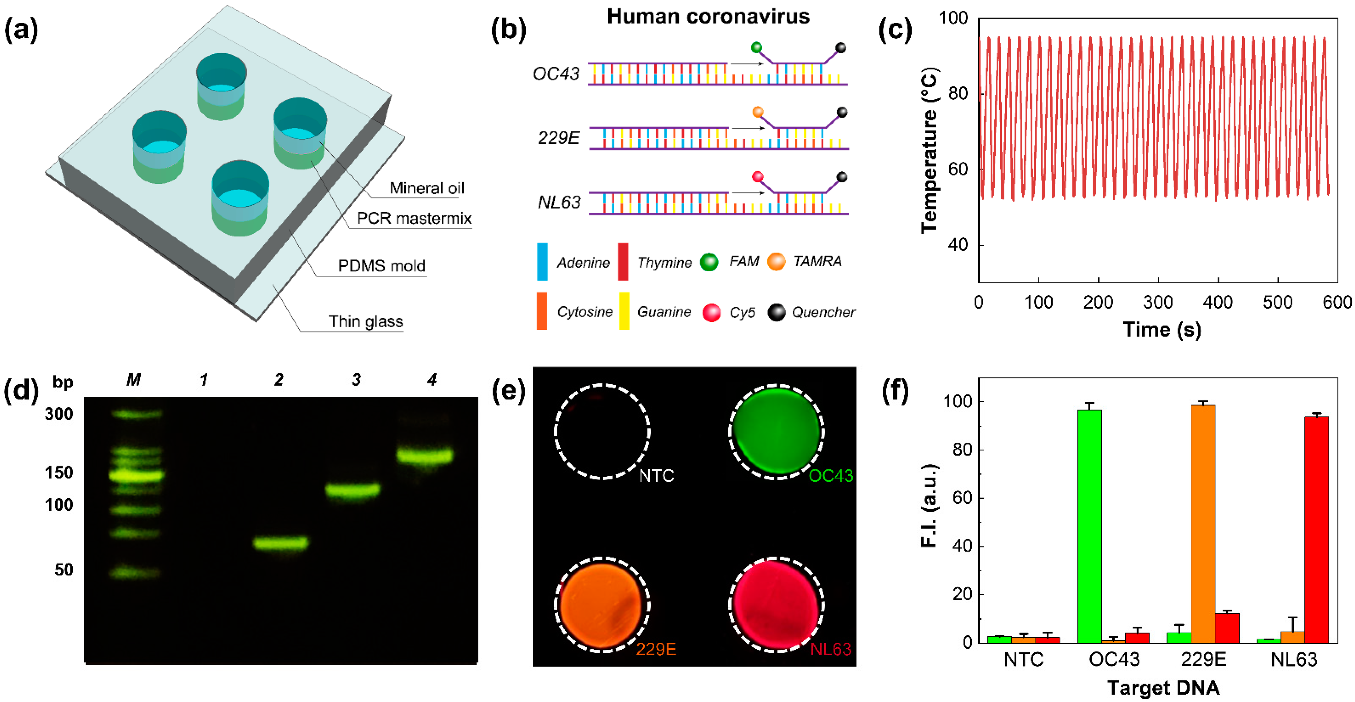 Polymers 14 01983 g006