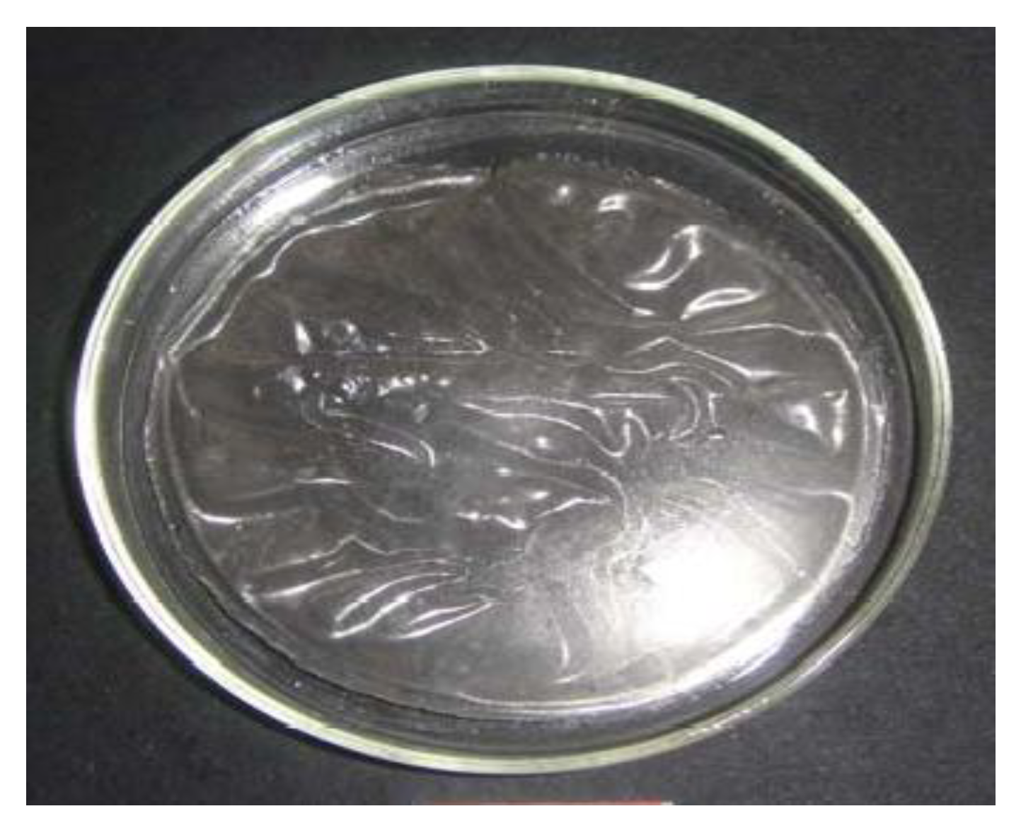 Polymers 14 01984 g001