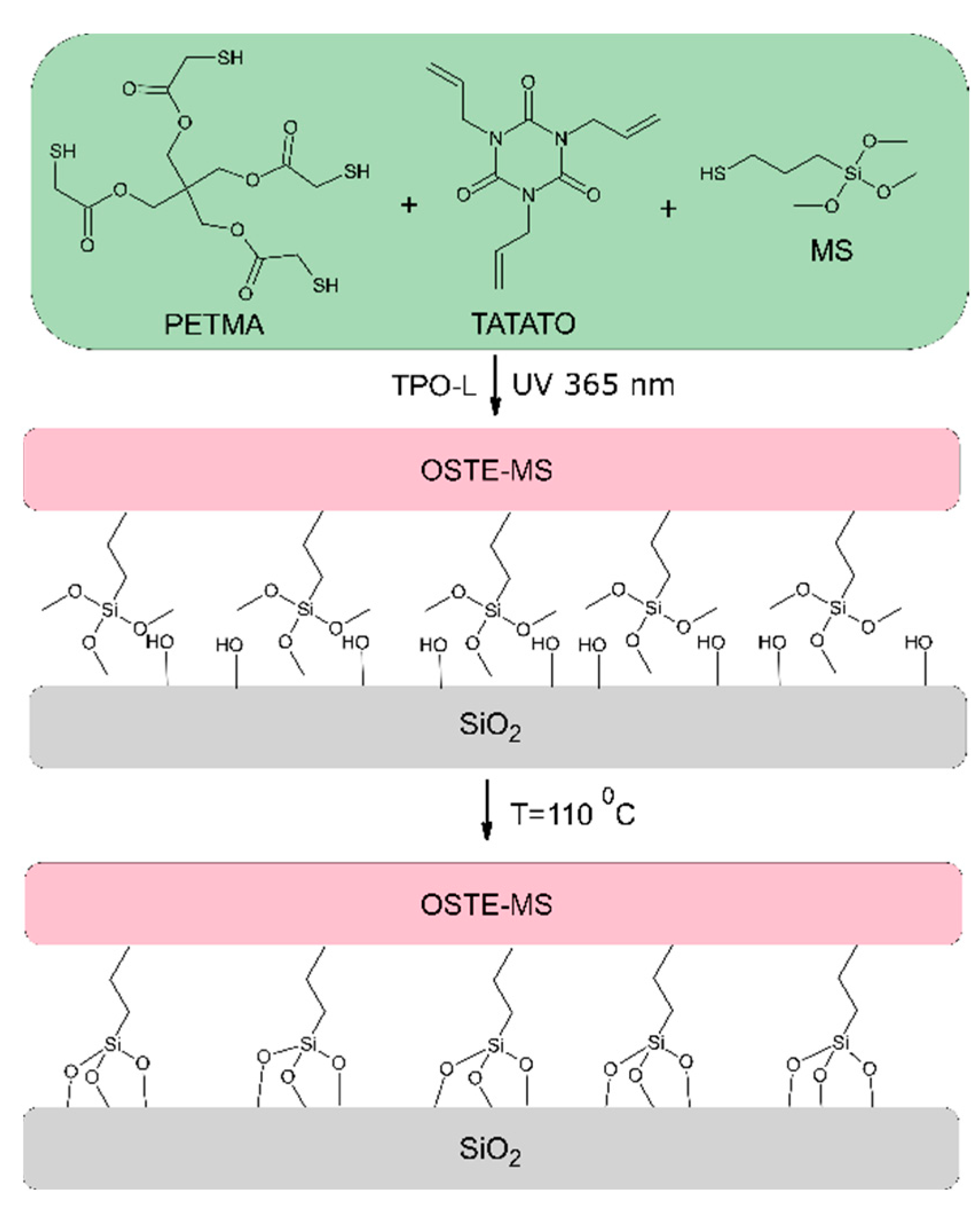 Polymers 14 01988 g001 550