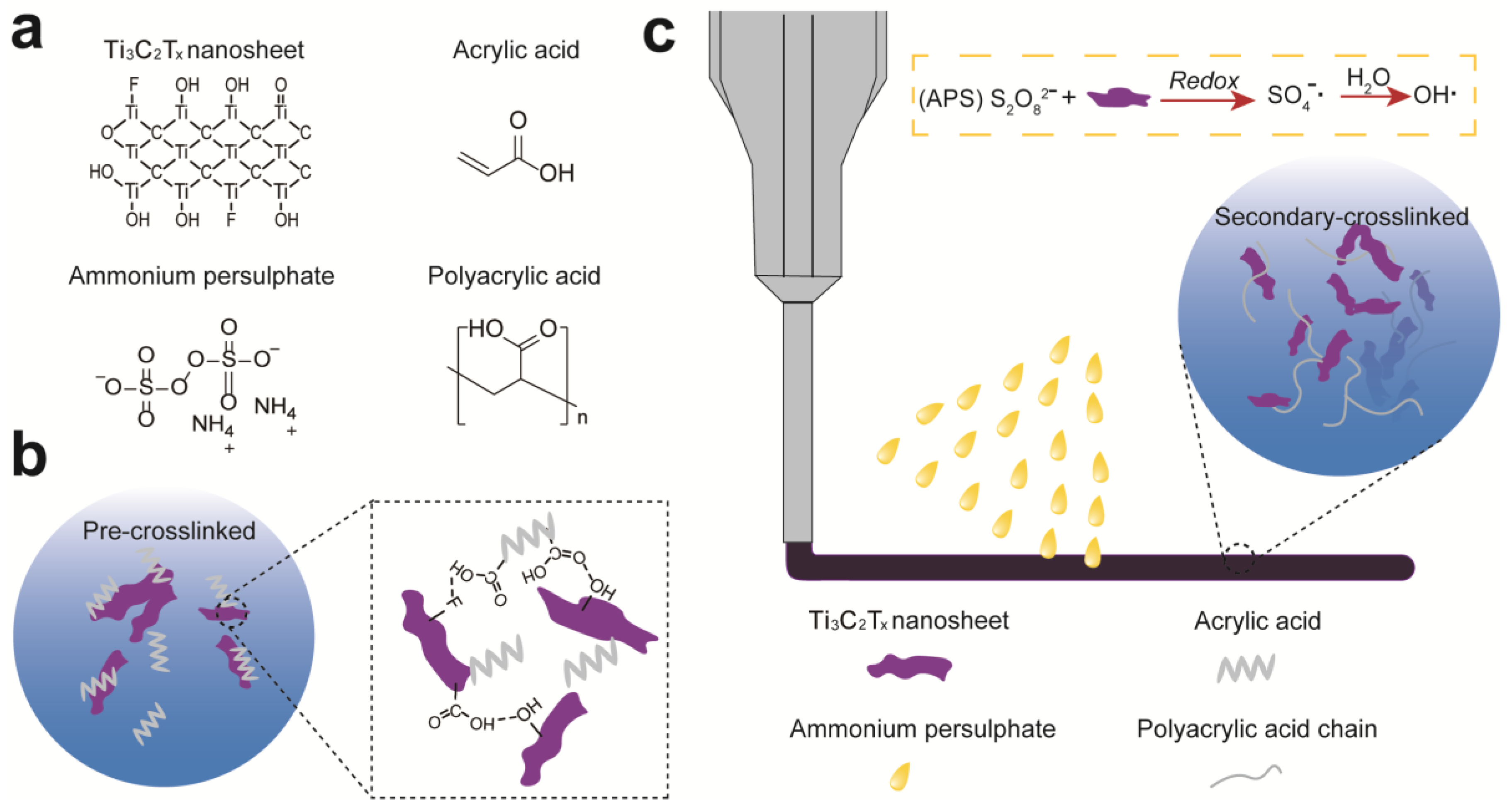 Polymers 14 01992 g001 550